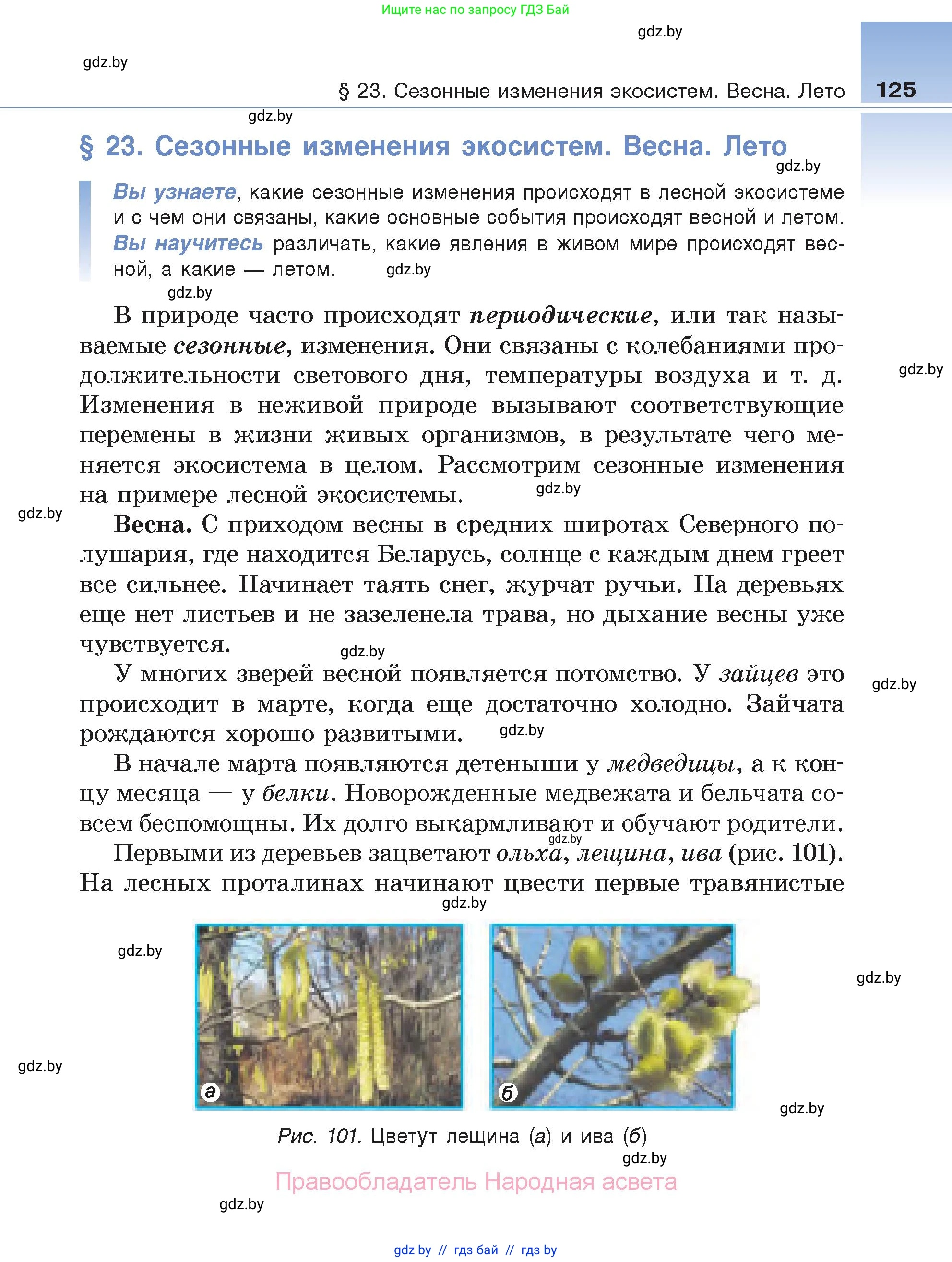 Биология, 6 класс Учебник, автор: Лисов Николай Дмитриевич, издательство Народная асвета, Минск, 2021, зелёного цвета, страница 125