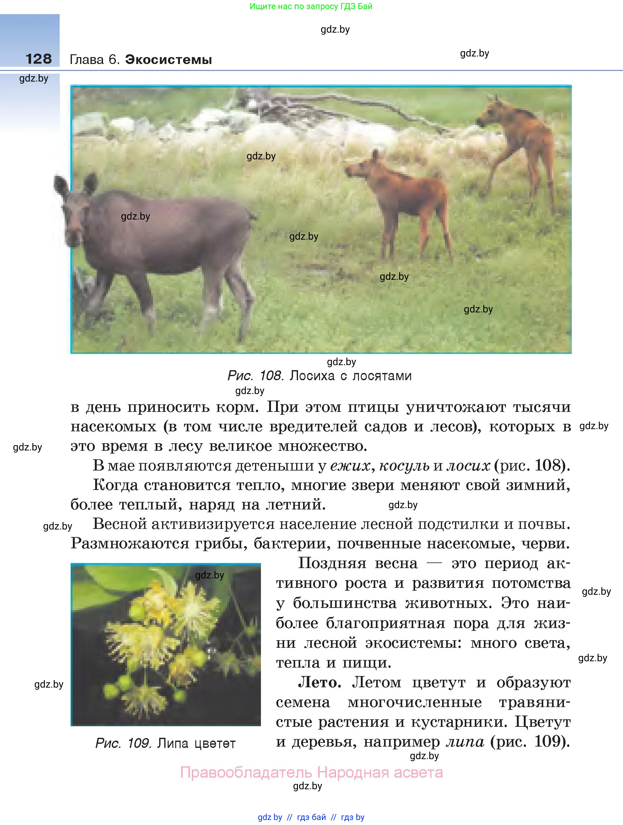 Биология, 6 класс Учебник, автор: Лисов Николай Дмитриевич, издательство Народная асвета, Минск, 2021, зелёного цвета, страница 128
