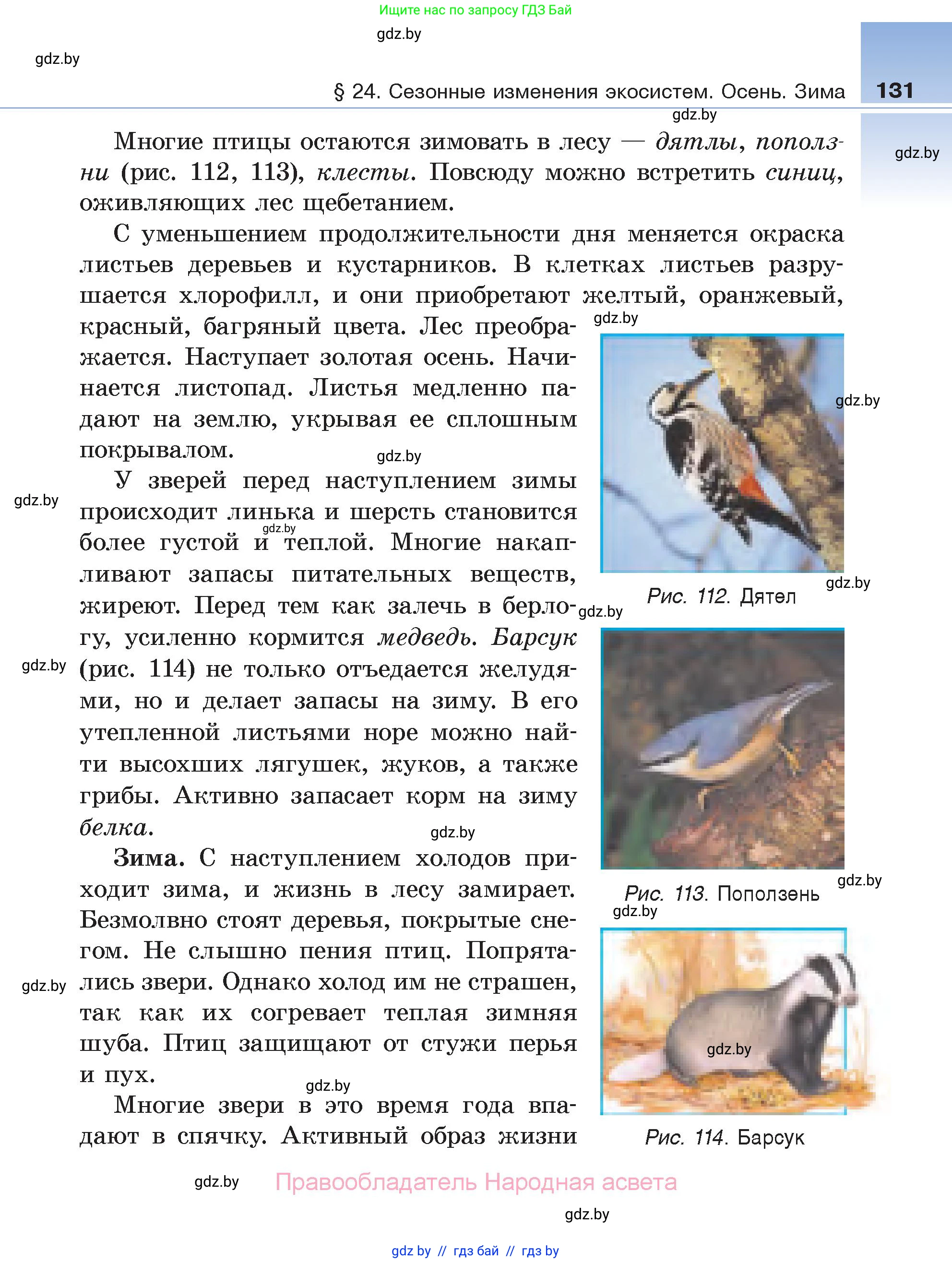 Биология, 6 класс Учебник, автор: Лисов Николай Дмитриевич, издательство Народная асвета, Минск, 2021, зелёного цвета, страница 131