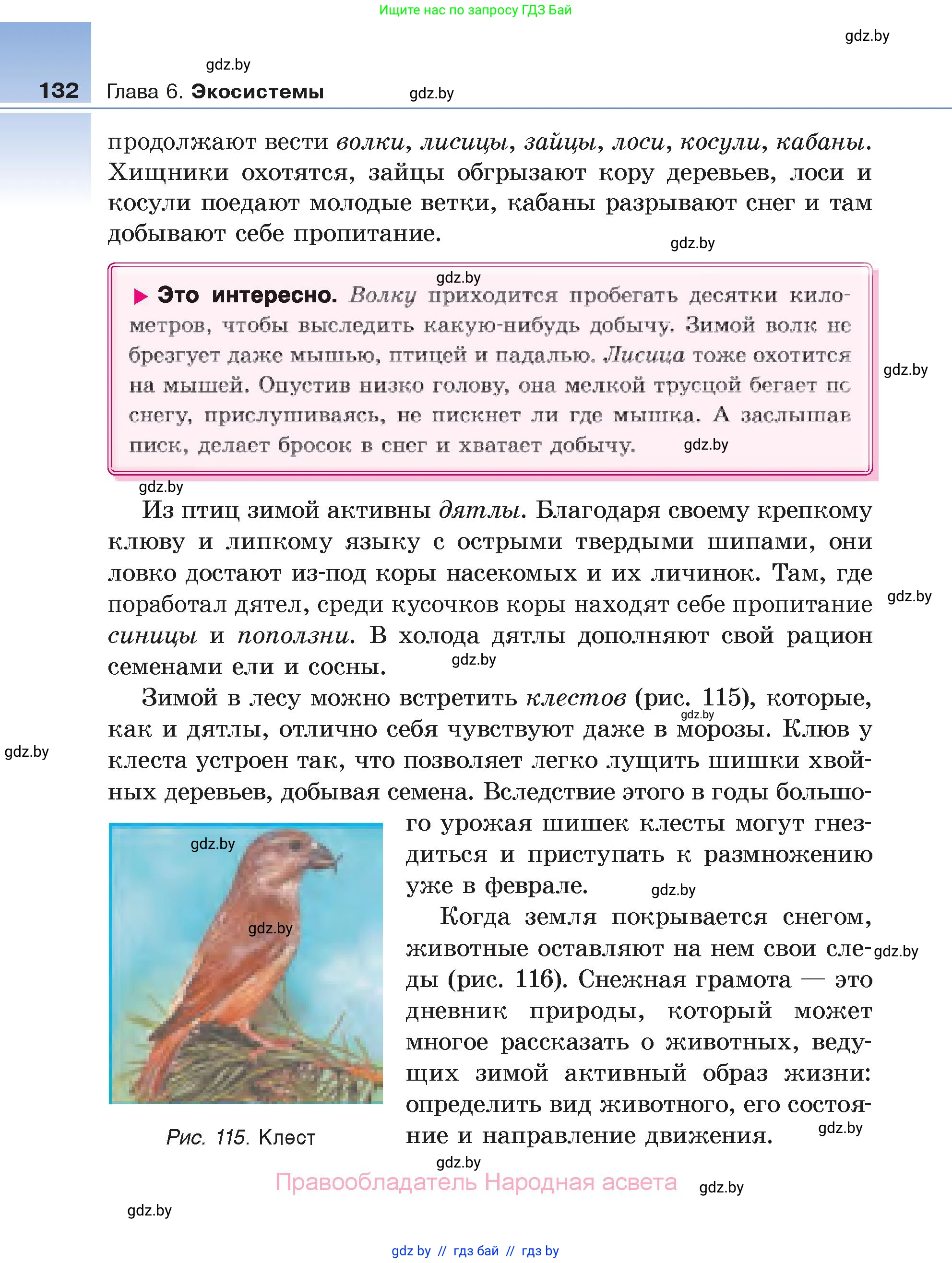 Биология, 6 класс Учебник, автор: Лисов Николай Дмитриевич, издательство Народная асвета, Минск, 2021, зелёного цвета, страница 132