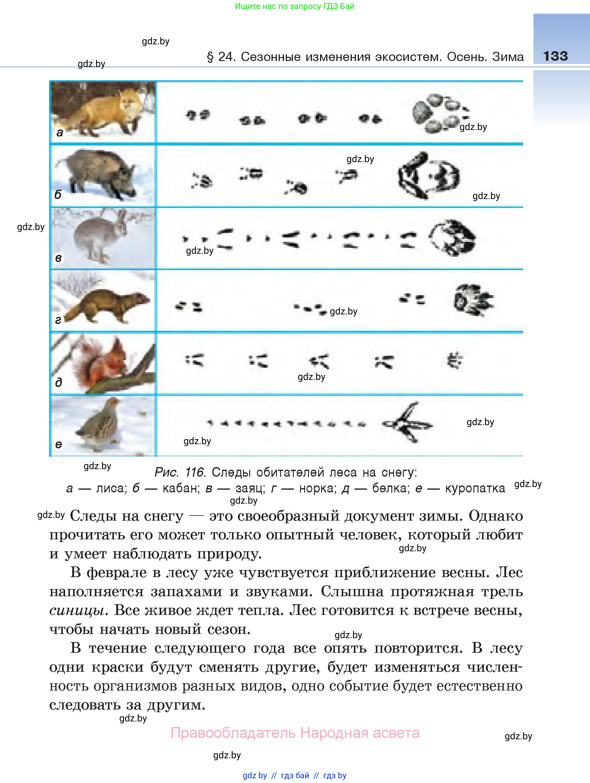 Биология, 6 класс Учебник, автор: Лисов Николай Дмитриевич, издательство Народная асвета, Минск, 2021, зелёного цвета, страница 133