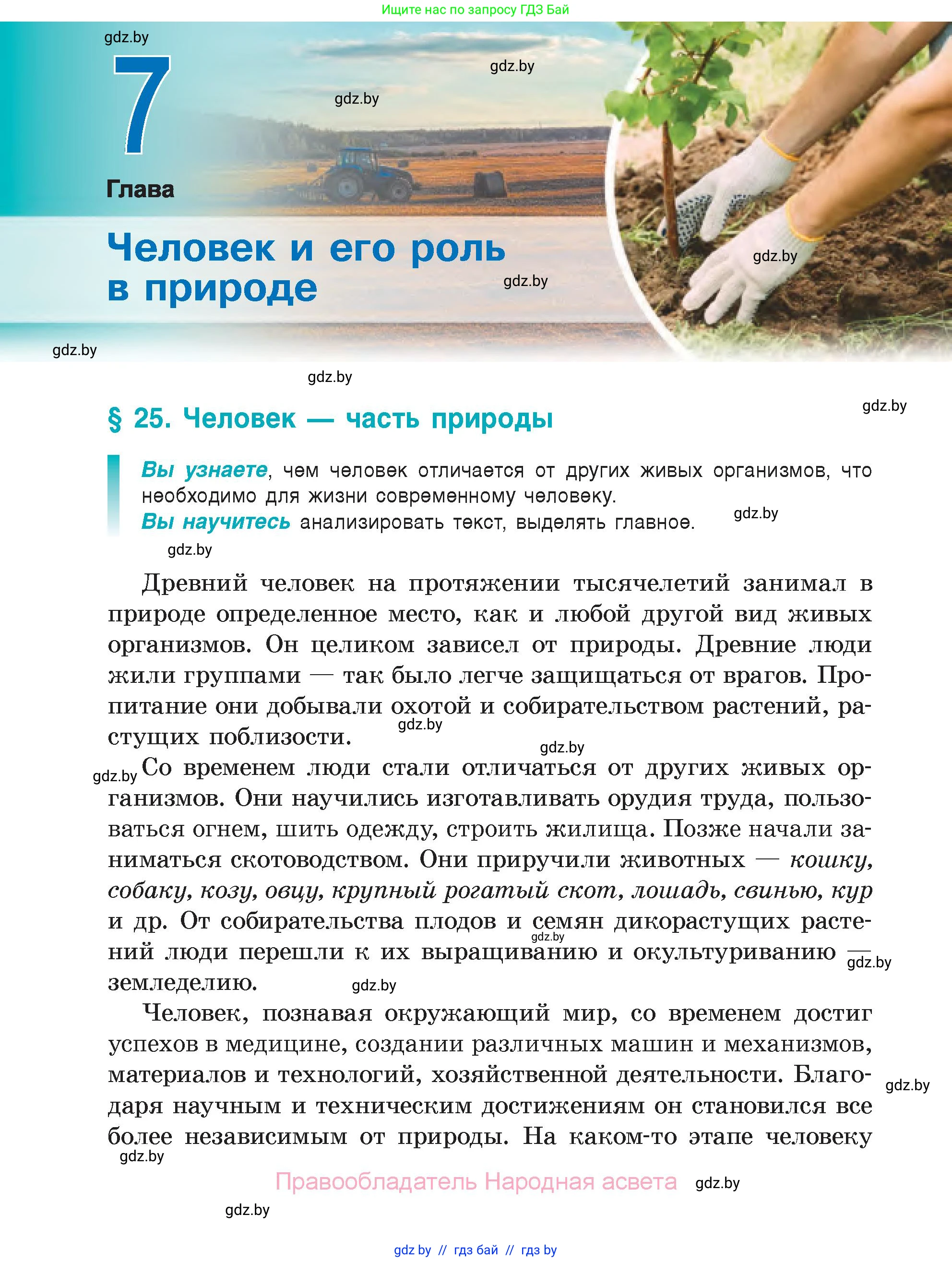 Биология, 6 класс Учебник, автор: Лисов Николай Дмитриевич, издательство Народная асвета, Минск, 2021, зелёного цвета, страница 136