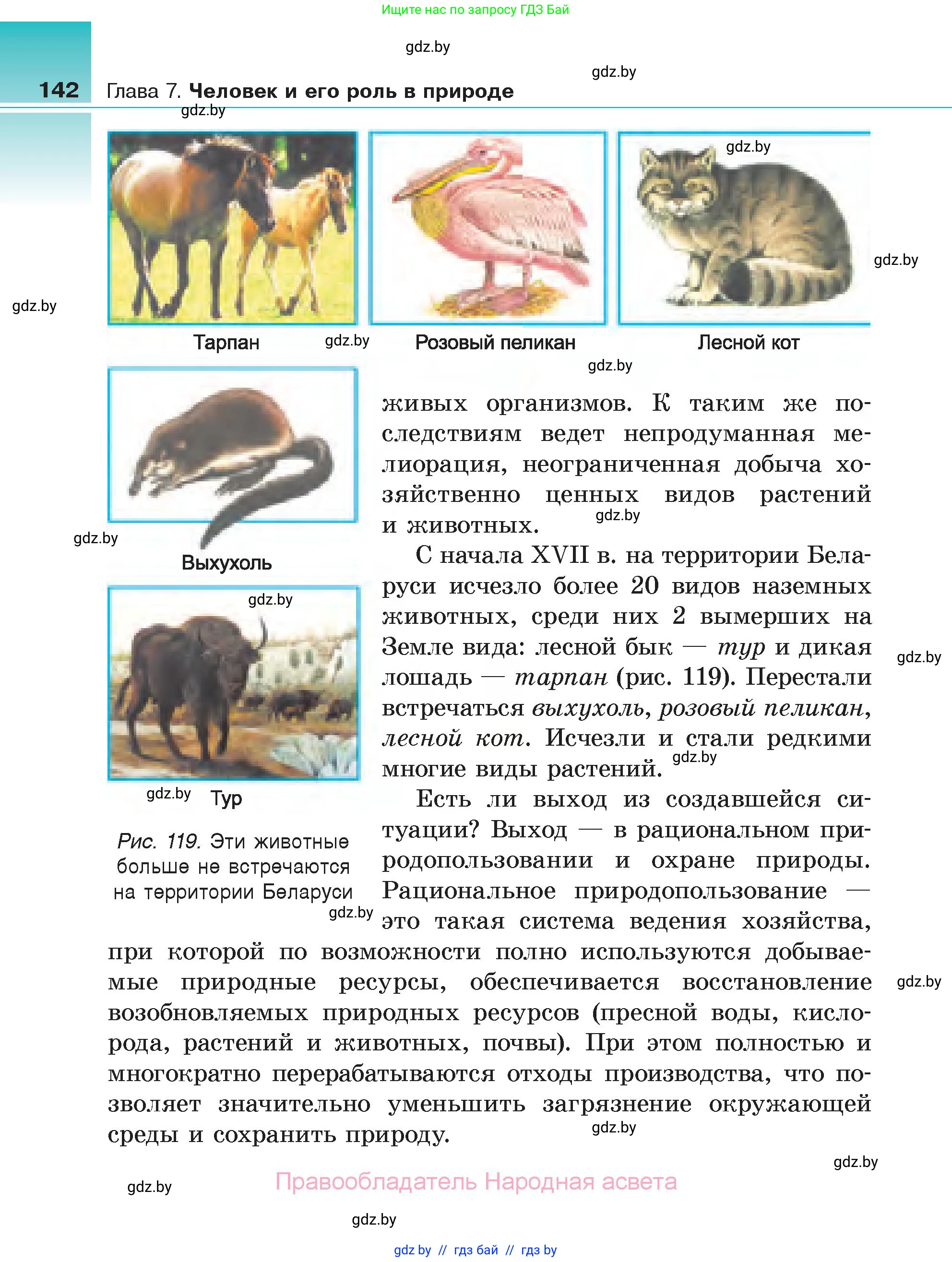 Биология, 6 класс Учебник, автор: Лисов Николай Дмитриевич, издательство Народная асвета, Минск, 2021, зелёного цвета, страница 142