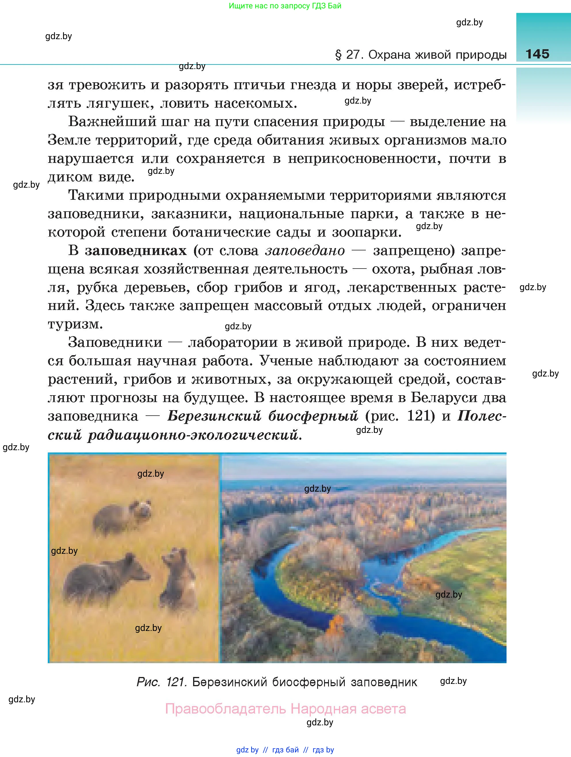 Биология, 6 класс Учебник, автор: Лисов Николай Дмитриевич, издательство Народная асвета, Минск, 2021, зелёного цвета, страница 145