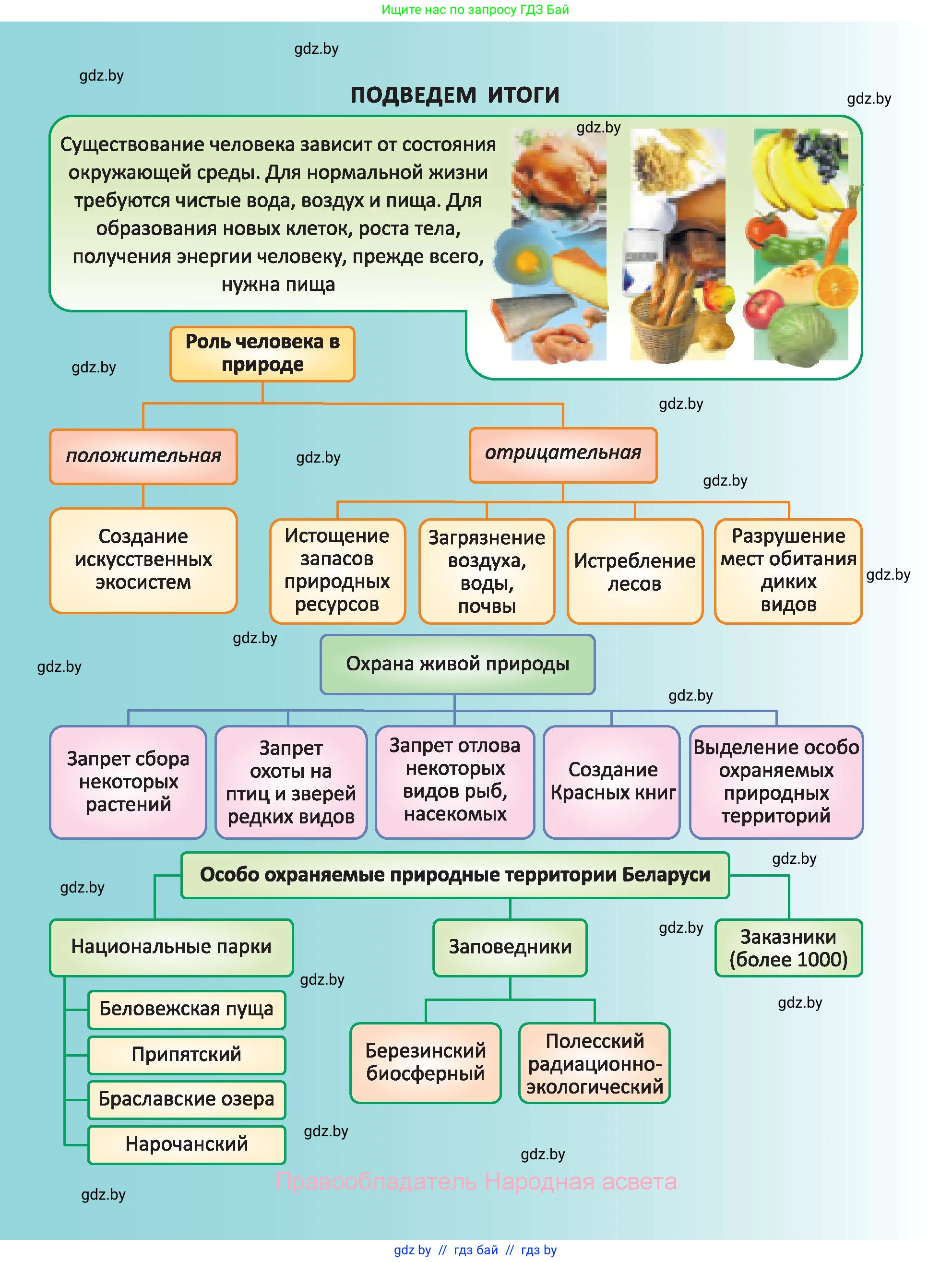Биология, 6 класс Учебник, автор: Лисов Николай Дмитриевич, издательство Народная асвета, Минск, 2021, зелёного цвета, страница 150