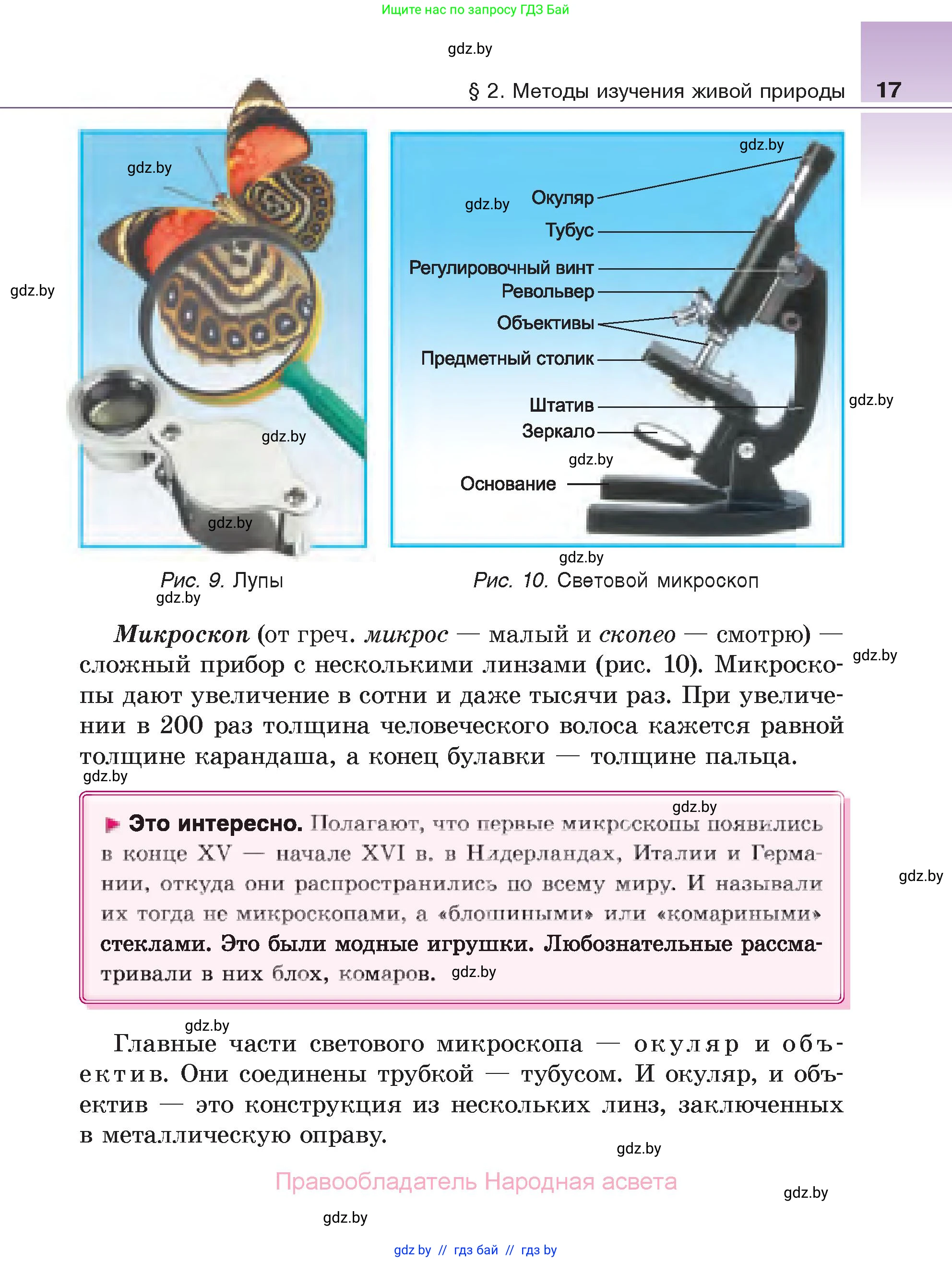 Биология, 6 класс Учебник, автор: Лисов Николай Дмитриевич, издательство Народная асвета, Минск, 2021, зелёного цвета, страница 17