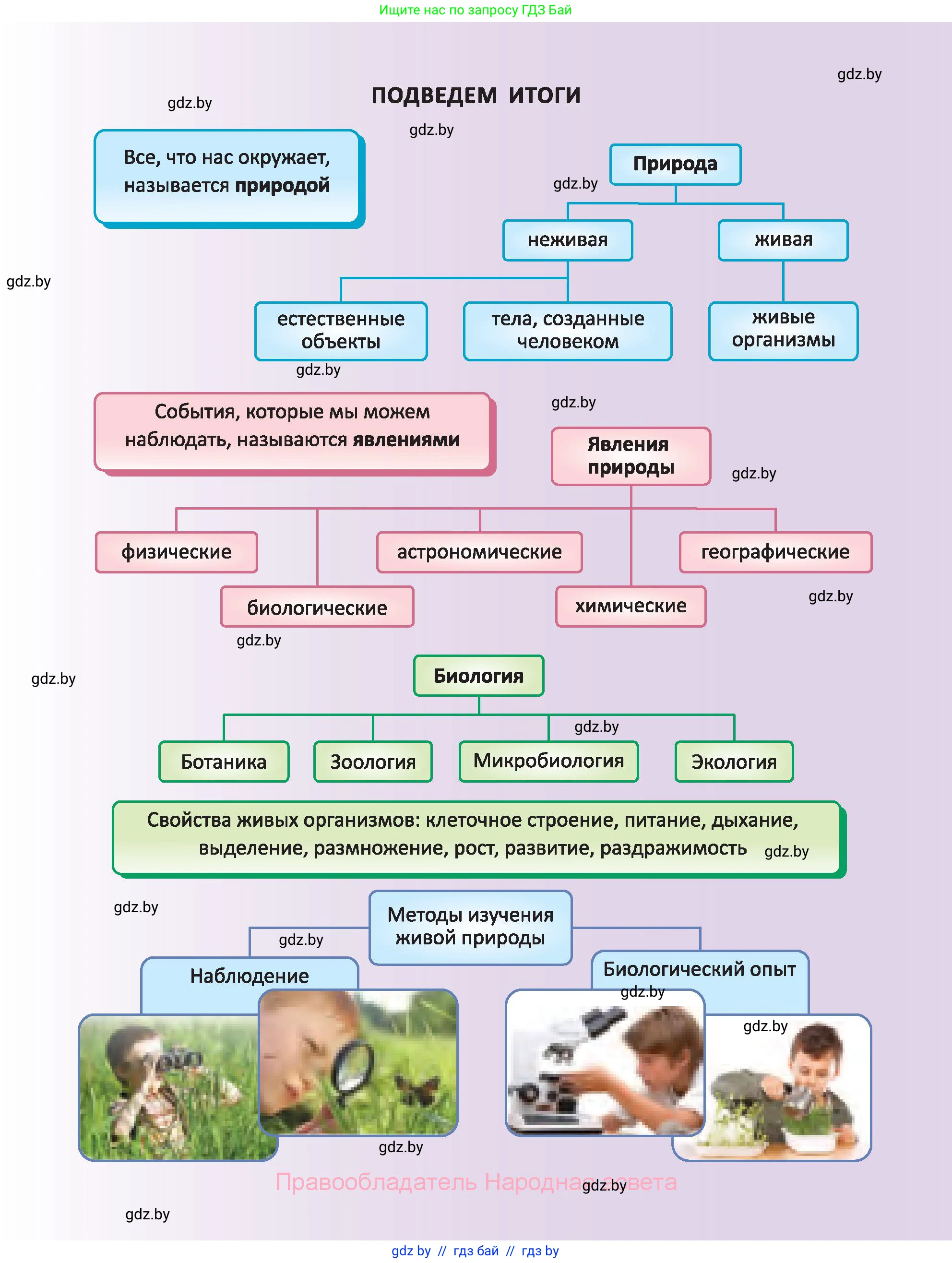 Биология, 6 класс Учебник, автор: Лисов Николай Дмитриевич, издательство Народная асвета, Минск, 2021, зелёного цвета, страница 21