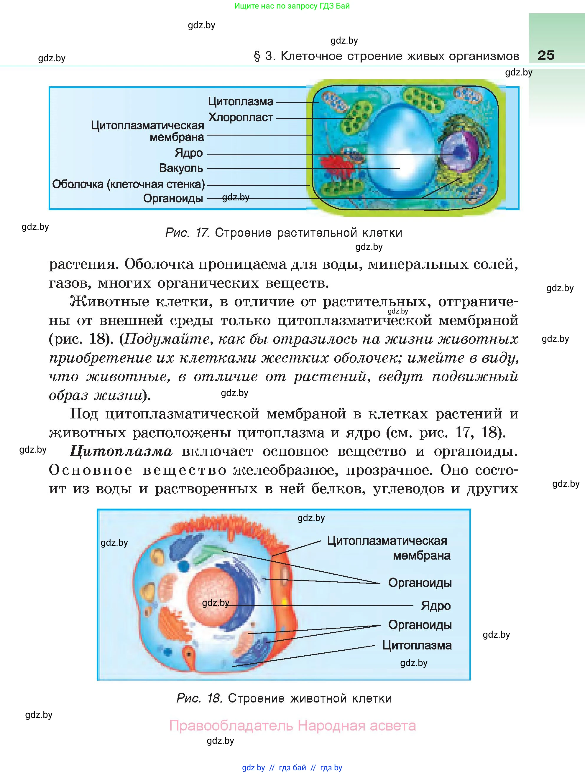 Биология, 6 класс Учебник, автор: Лисов Николай Дмитриевич, издательство Народная асвета, Минск, 2021, зелёного цвета, страница 25