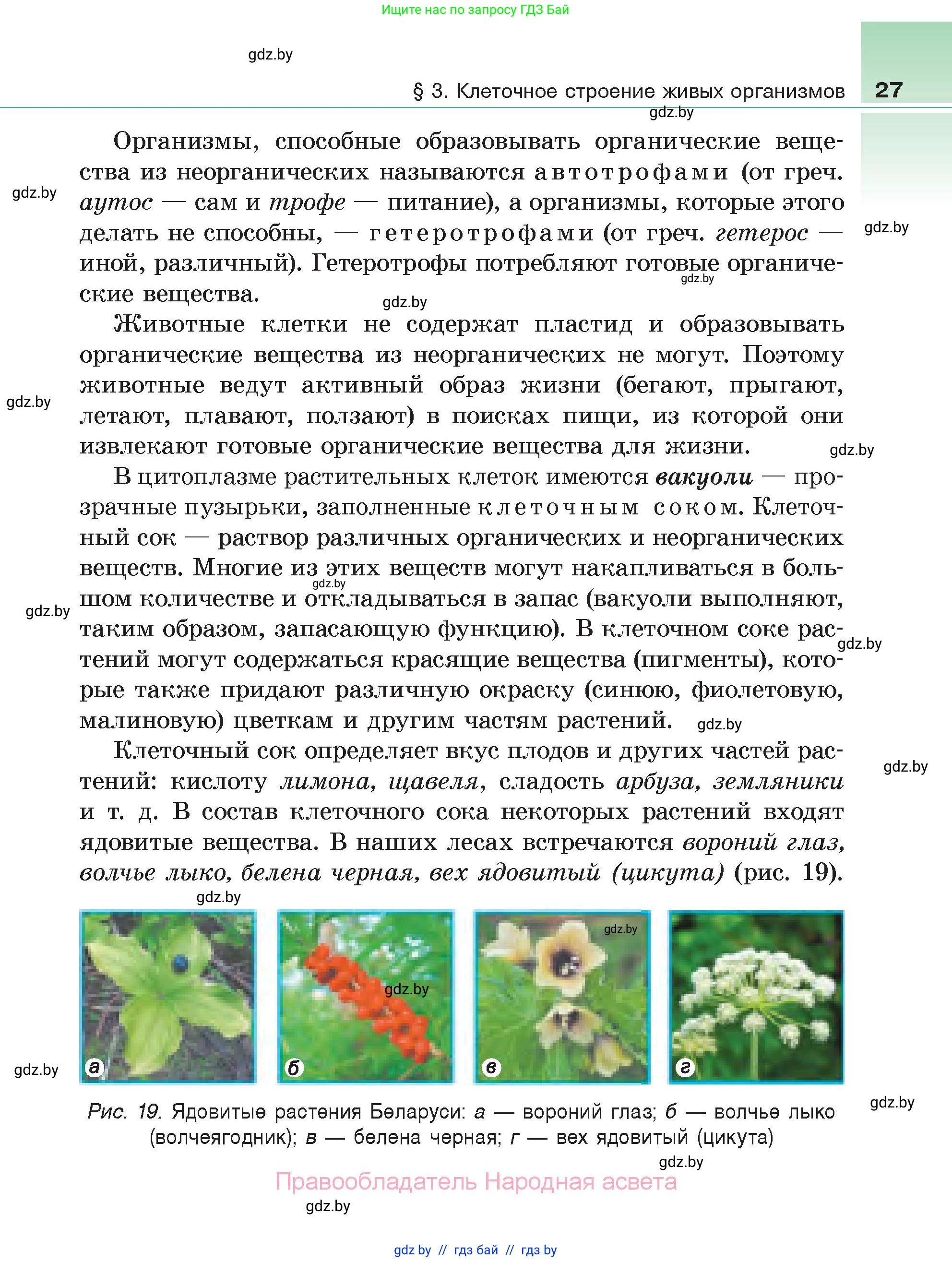 Биология, 6 класс Учебник, автор: Лисов Николай Дмитриевич, издательство Народная асвета, Минск, 2021, зелёного цвета, страница 27