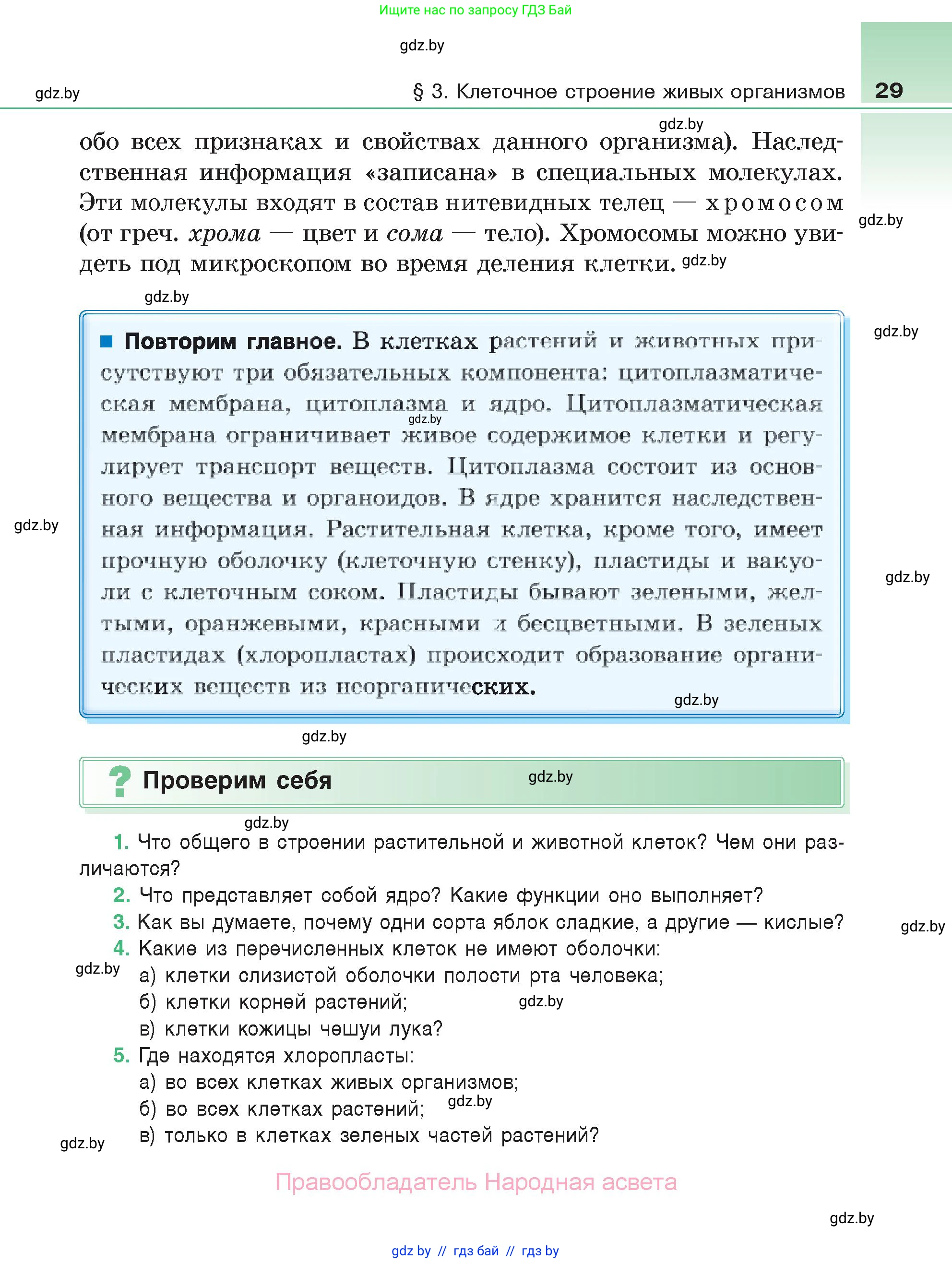 Биология, 6 класс Учебник, автор: Лисов Николай Дмитриевич, издательство Народная асвета, Минск, 2021, зелёного цвета, страница 29