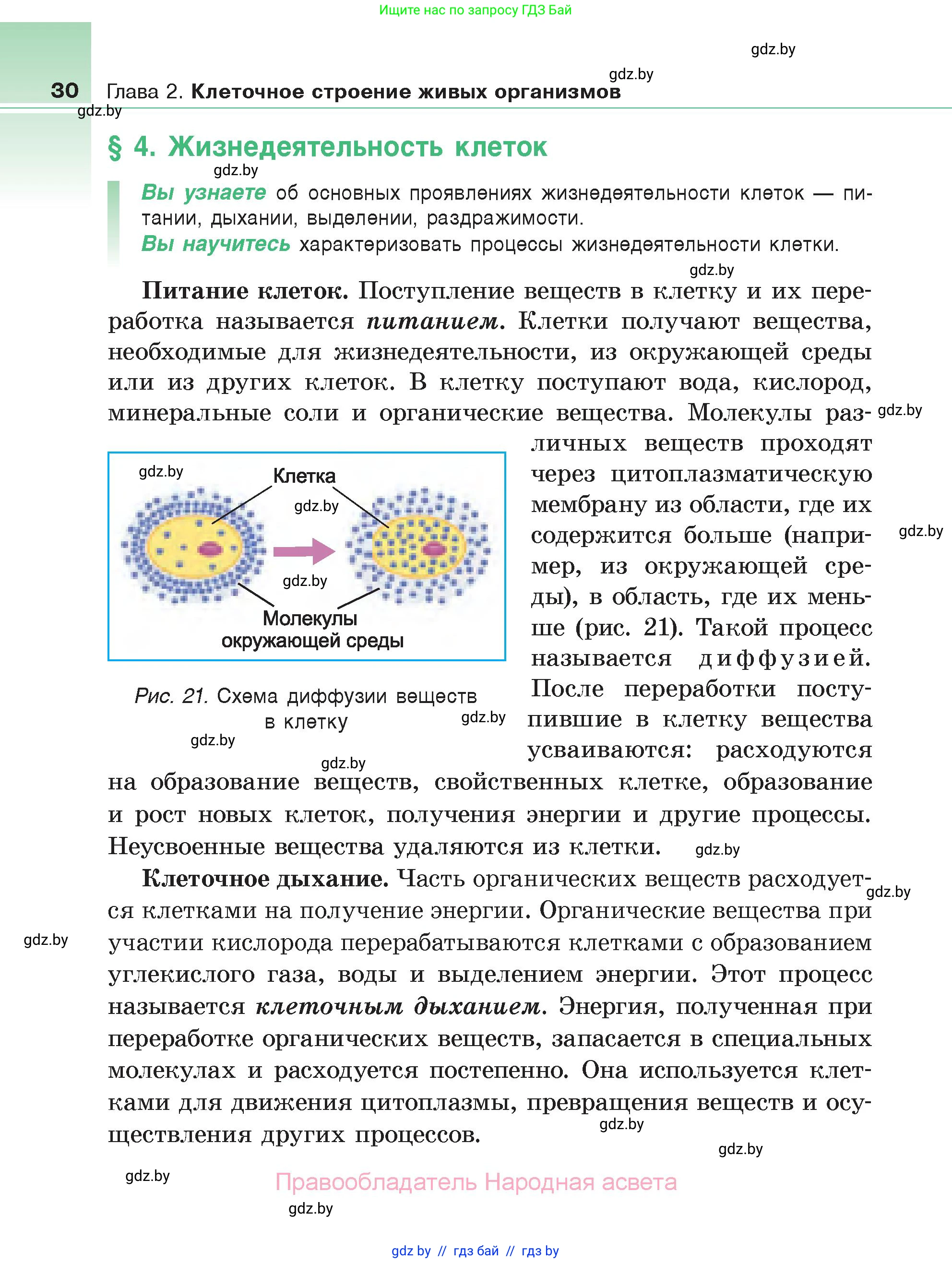Биология, 6 класс Учебник, автор: Лисов Николай Дмитриевич, издательство Народная асвета, Минск, 2021, зелёного цвета, страница 30