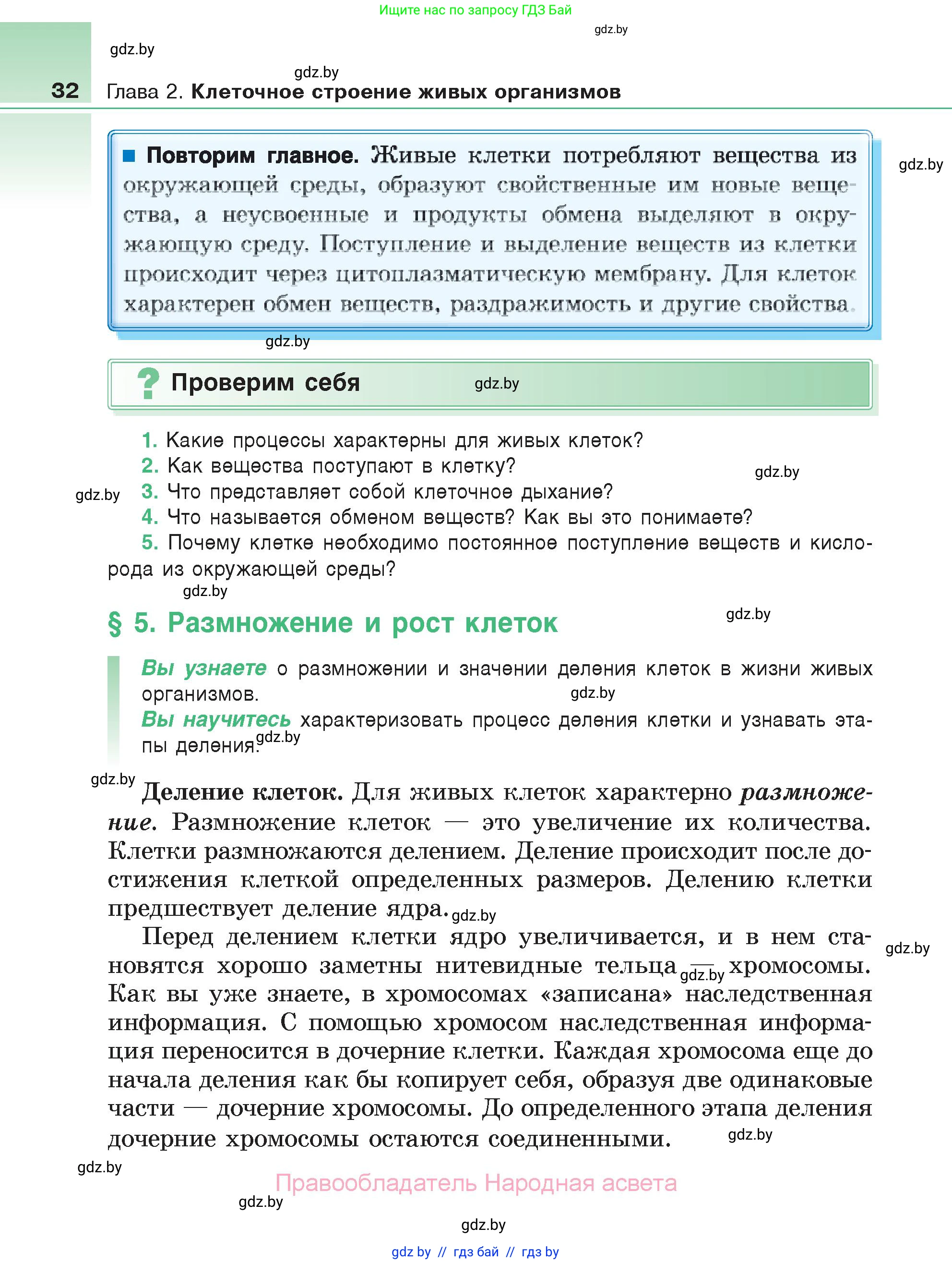 Биология, 6 класс Учебник, автор: Лисов Николай Дмитриевич, издательство Народная асвета, Минск, 2021, зелёного цвета, страница 32