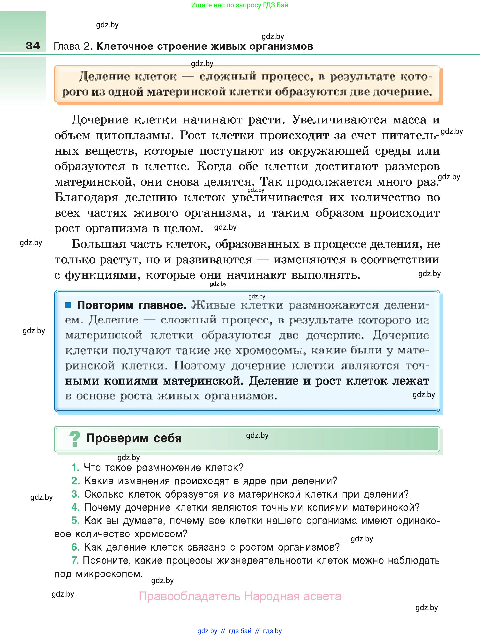 Биология, 6 класс Учебник, автор: Лисов Николай Дмитриевич, издательство Народная асвета, Минск, 2021, зелёного цвета, страница 34