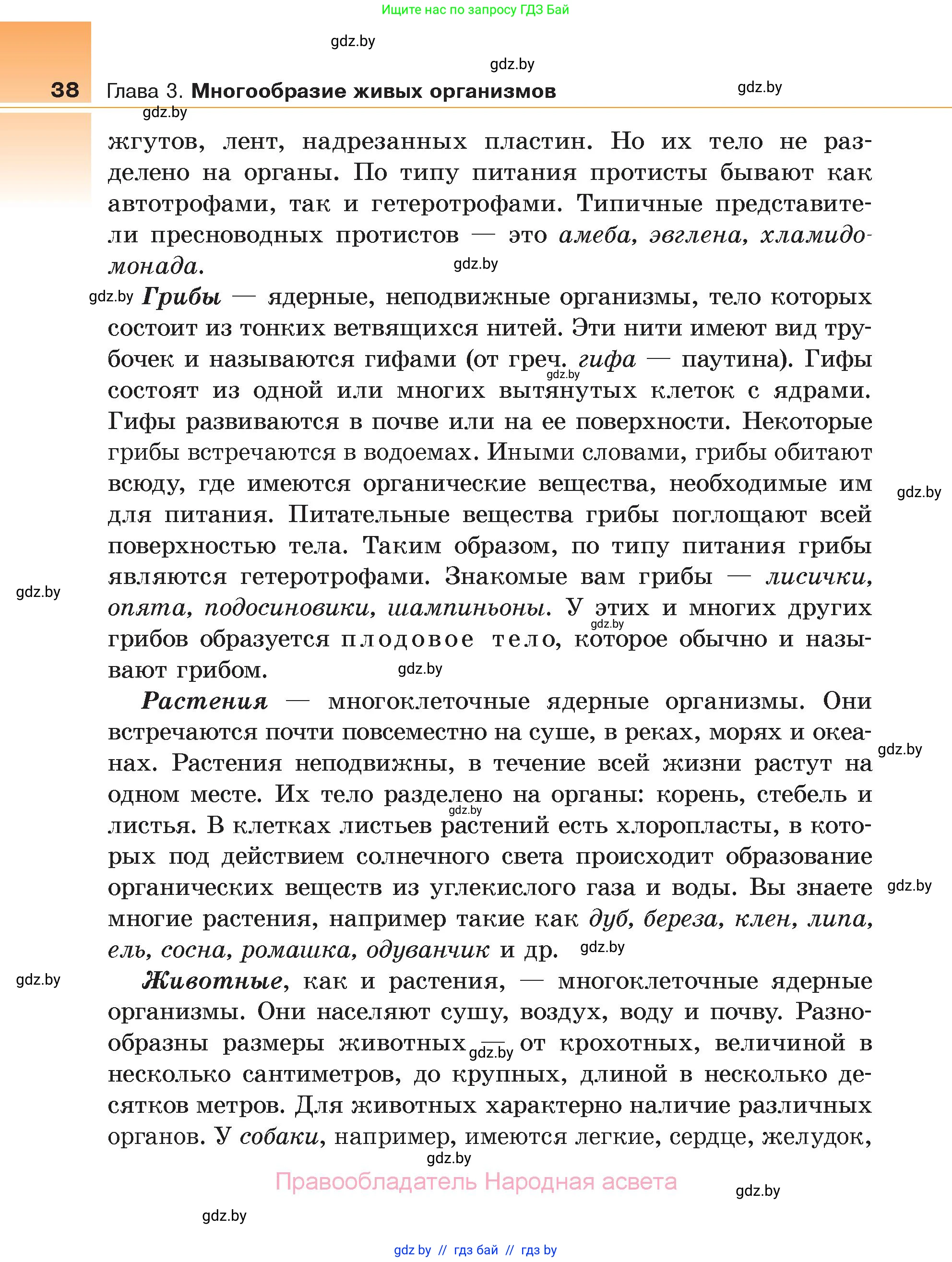Биология, 6 класс Учебник, автор: Лисов Николай Дмитриевич, издательство Народная асвета, Минск, 2021, зелёного цвета, страница 38