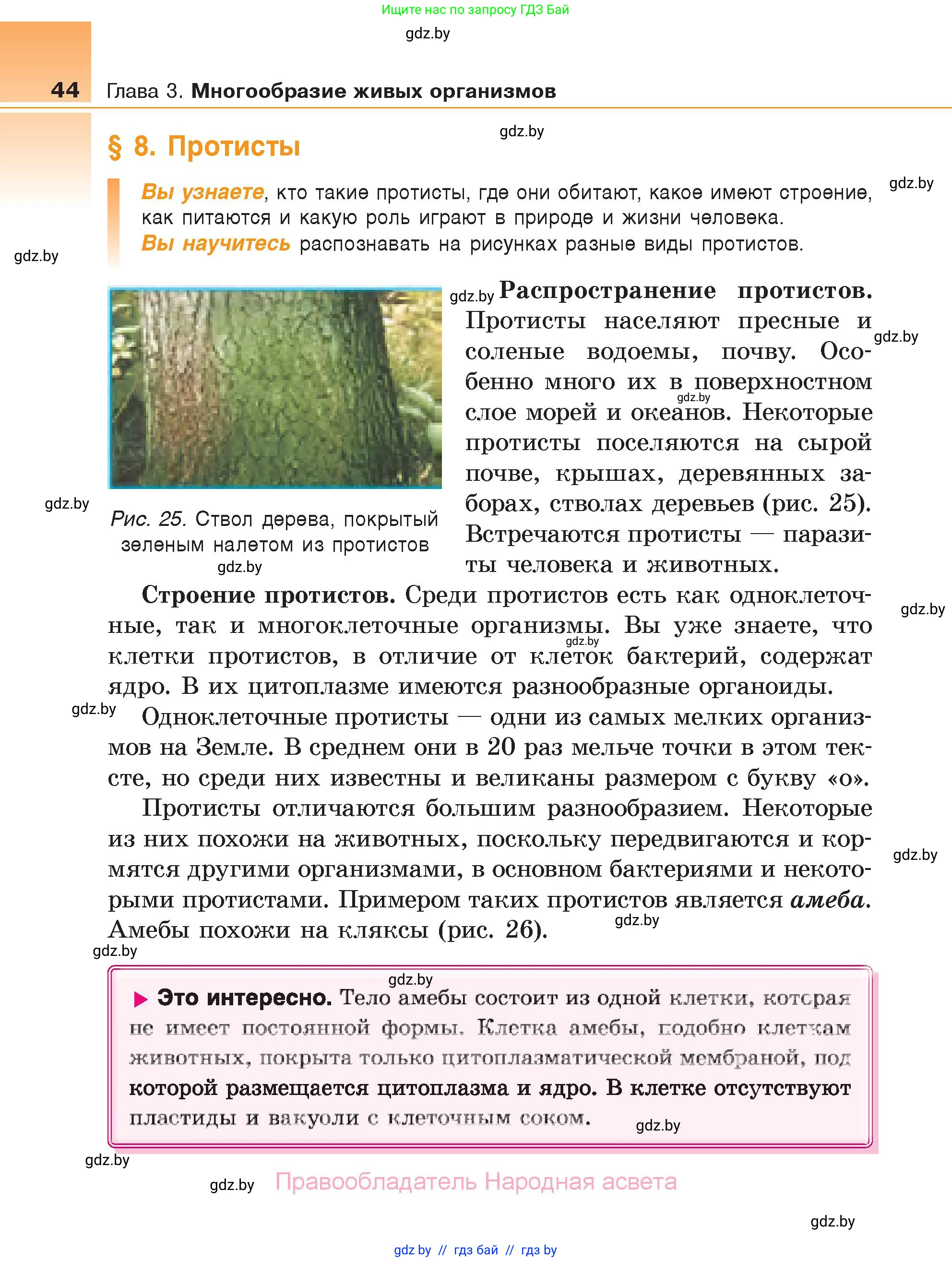 Биология, 6 класс Учебник, автор: Лисов Николай Дмитриевич, издательство Народная асвета, Минск, 2021, зелёного цвета, страница 44