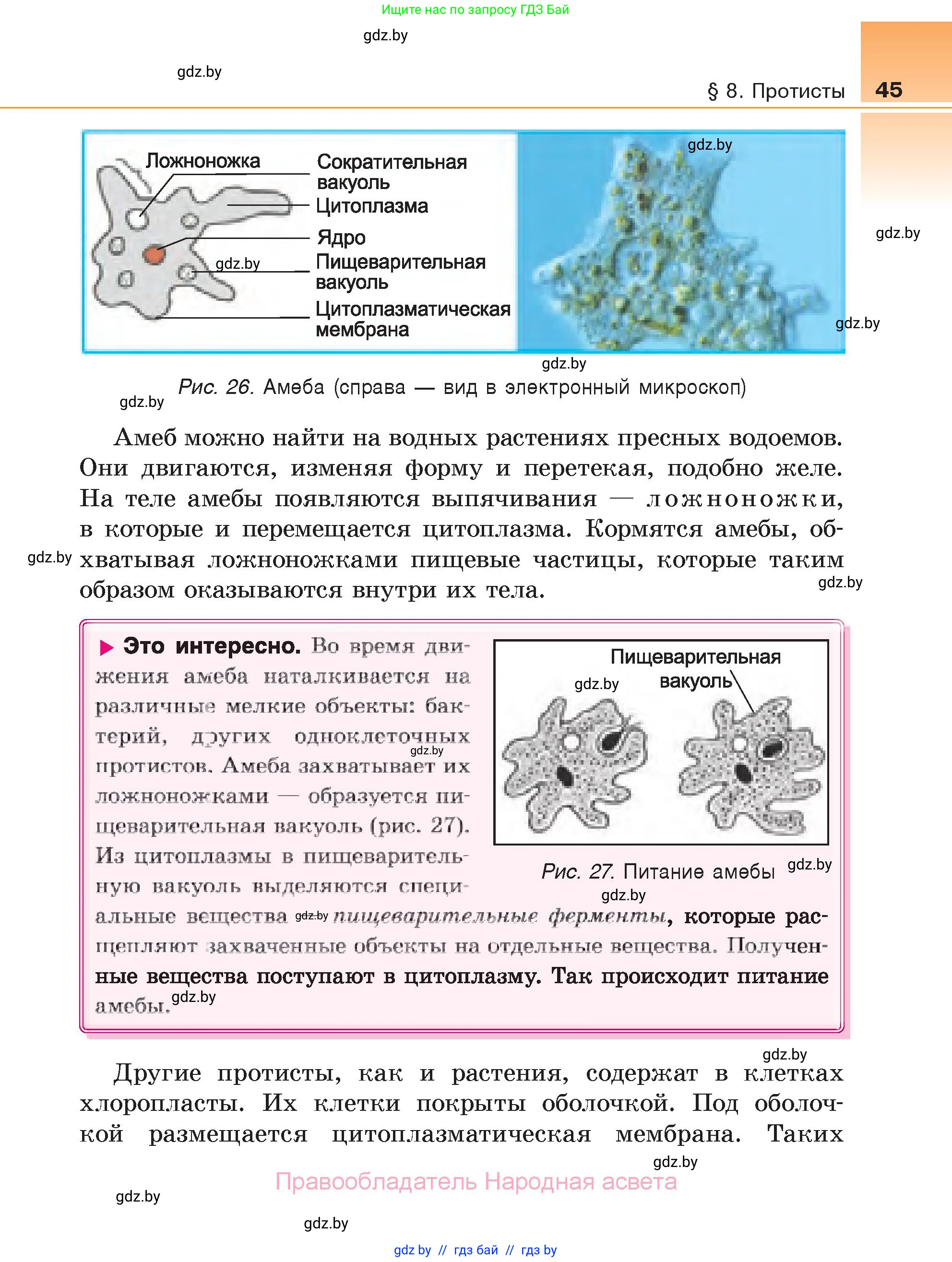 Биология, 6 класс Учебник, автор: Лисов Николай Дмитриевич, издательство Народная асвета, Минск, 2021, зелёного цвета, страница 45