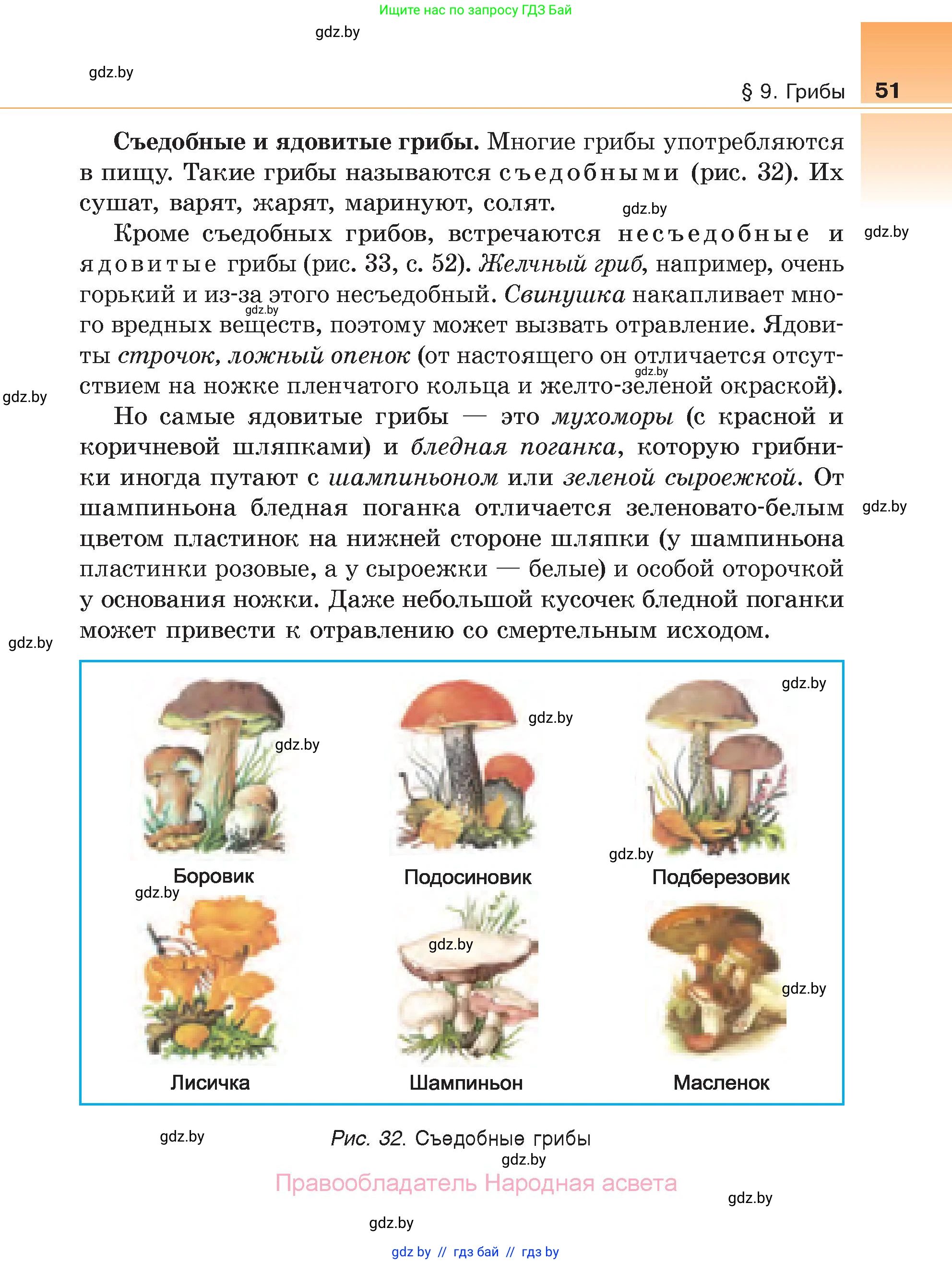 Биология, 6 класс Учебник, автор: Лисов Николай Дмитриевич, издательство Народная асвета, Минск, 2021, зелёного цвета, страница 51