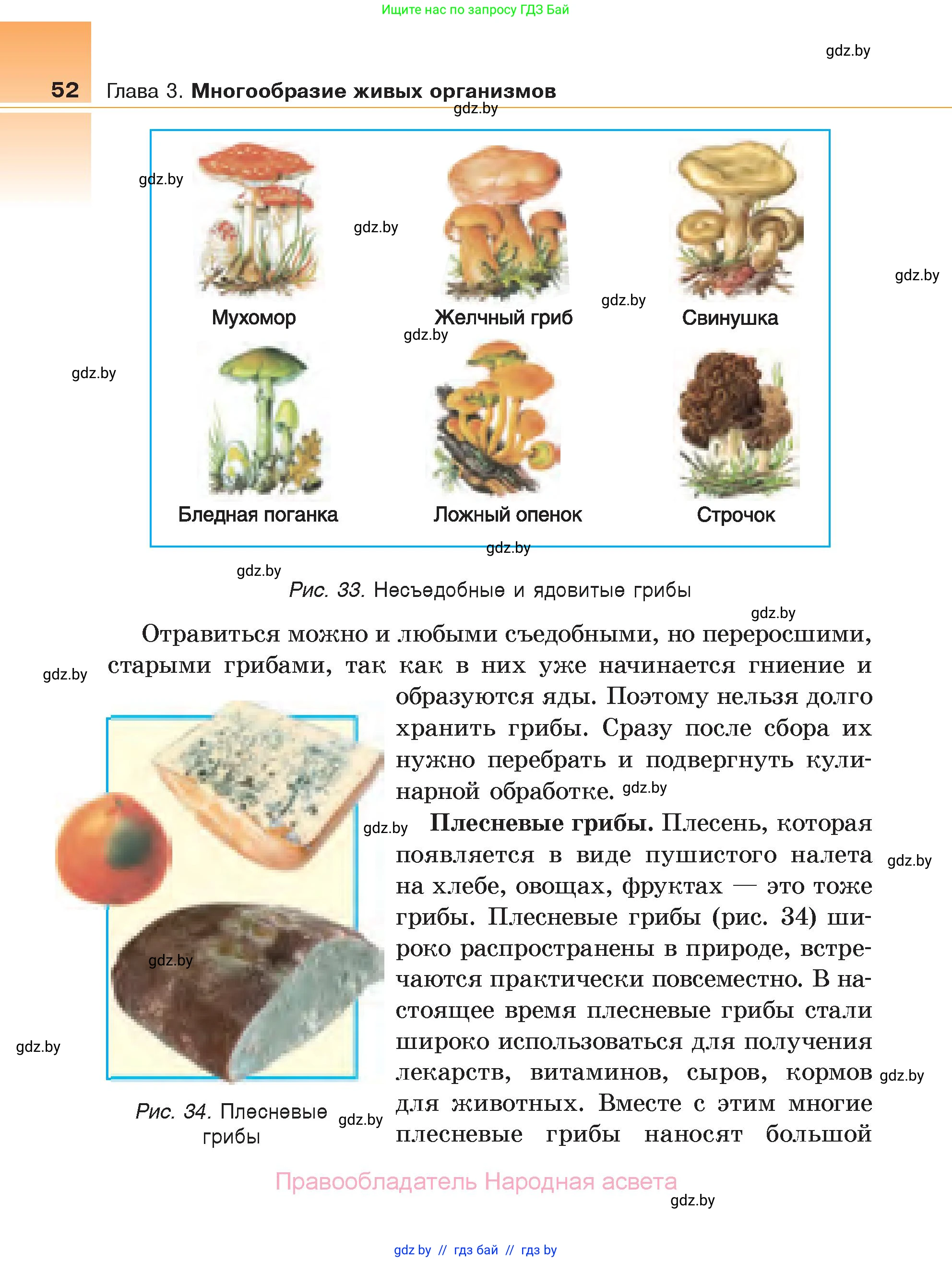 Биология, 6 класс Учебник, автор: Лисов Николай Дмитриевич, издательство Народная асвета, Минск, 2021, зелёного цвета, страница 52