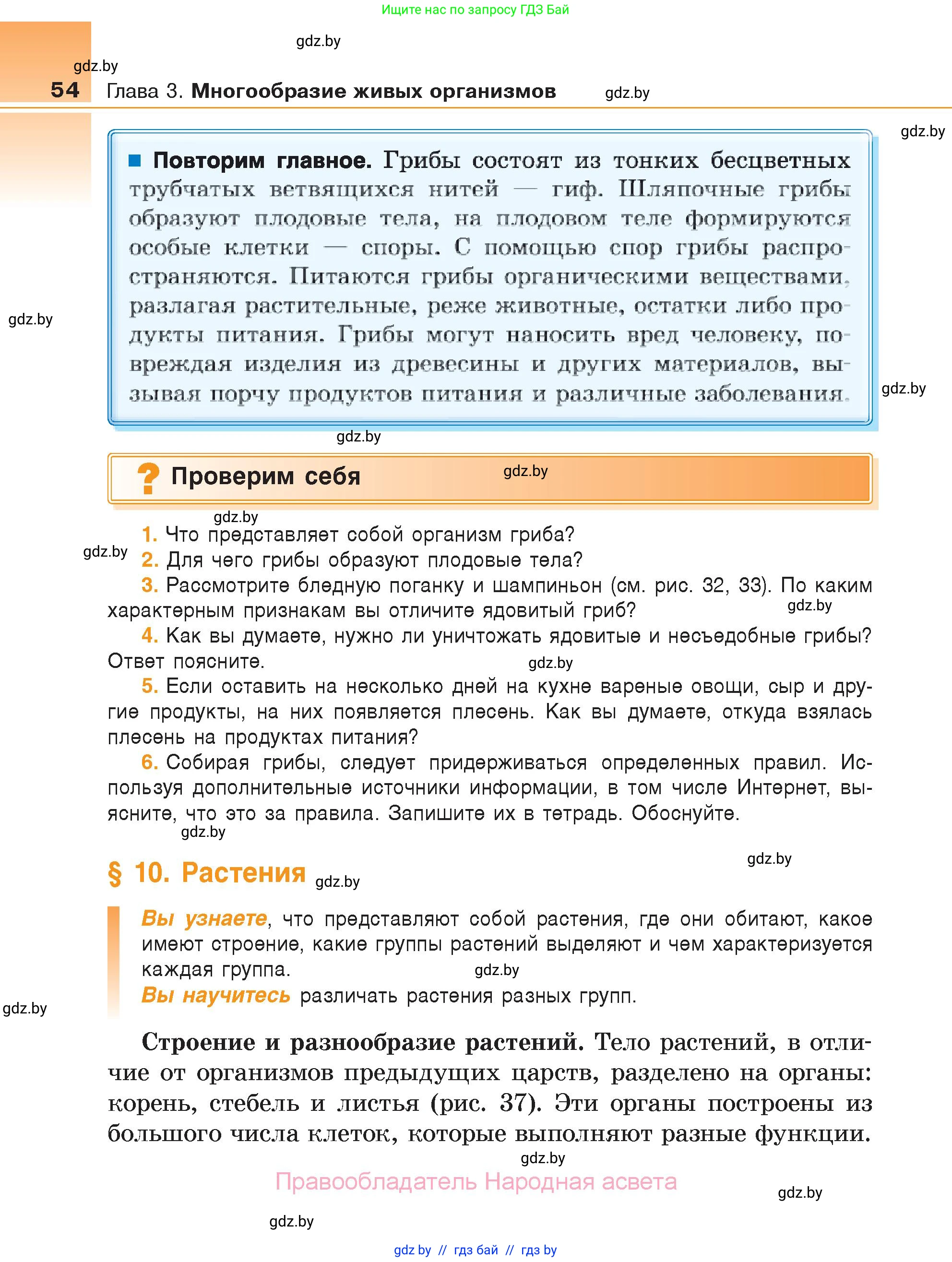 Биология, 6 класс Учебник, автор: Лисов Николай Дмитриевич, издательство Народная асвета, Минск, 2021, зелёного цвета, страница 54