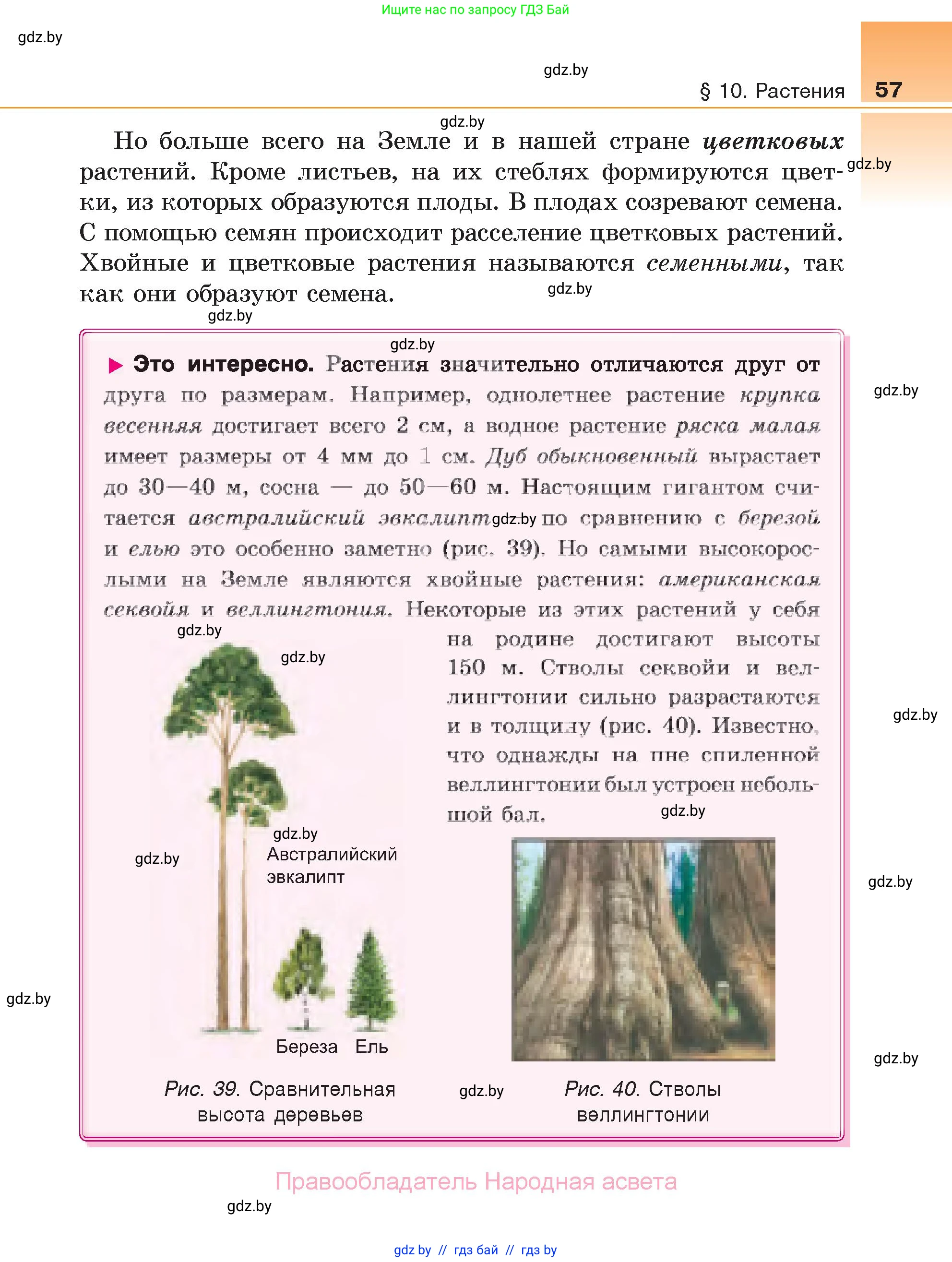 Биология, 6 класс Учебник, автор: Лисов Николай Дмитриевич, издательство Народная асвета, Минск, 2021, зелёного цвета, страница 57