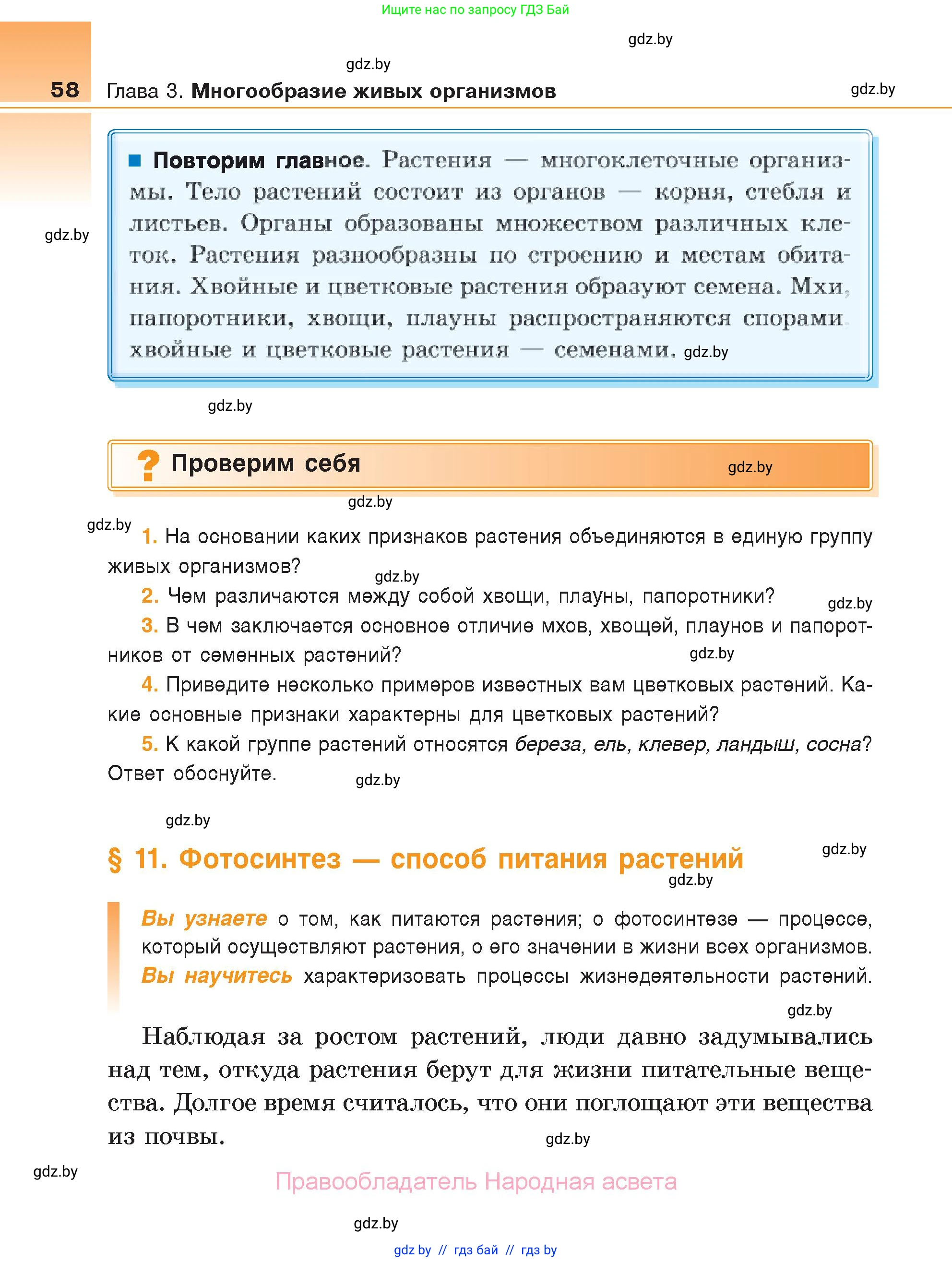 Биология, 6 класс Учебник, автор: Лисов Николай Дмитриевич, издательство Народная асвета, Минск, 2021, зелёного цвета, страница 58