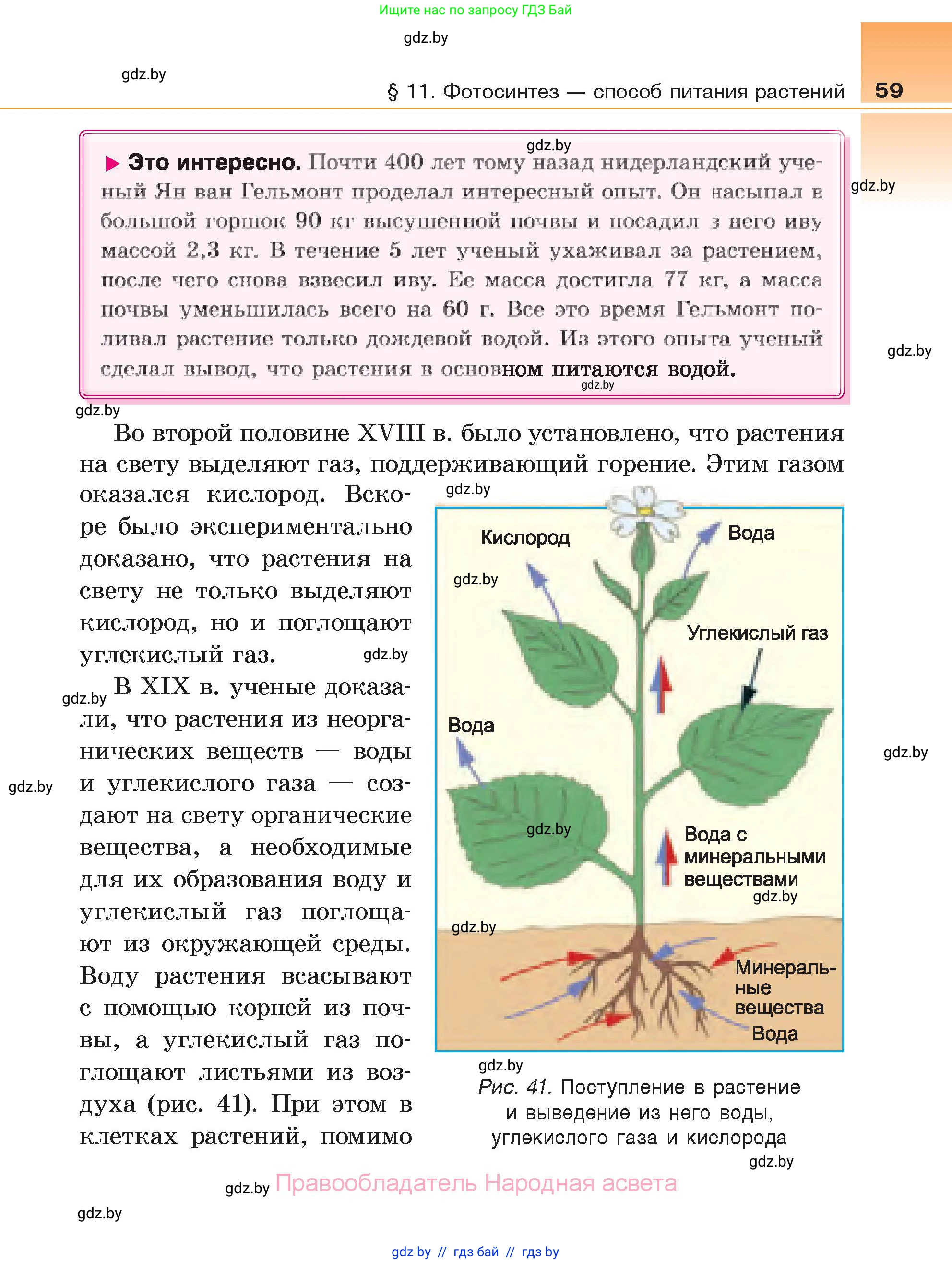 Биология, 6 класс Учебник, автор: Лисов Николай Дмитриевич, издательство Народная асвета, Минск, 2021, зелёного цвета, страница 59