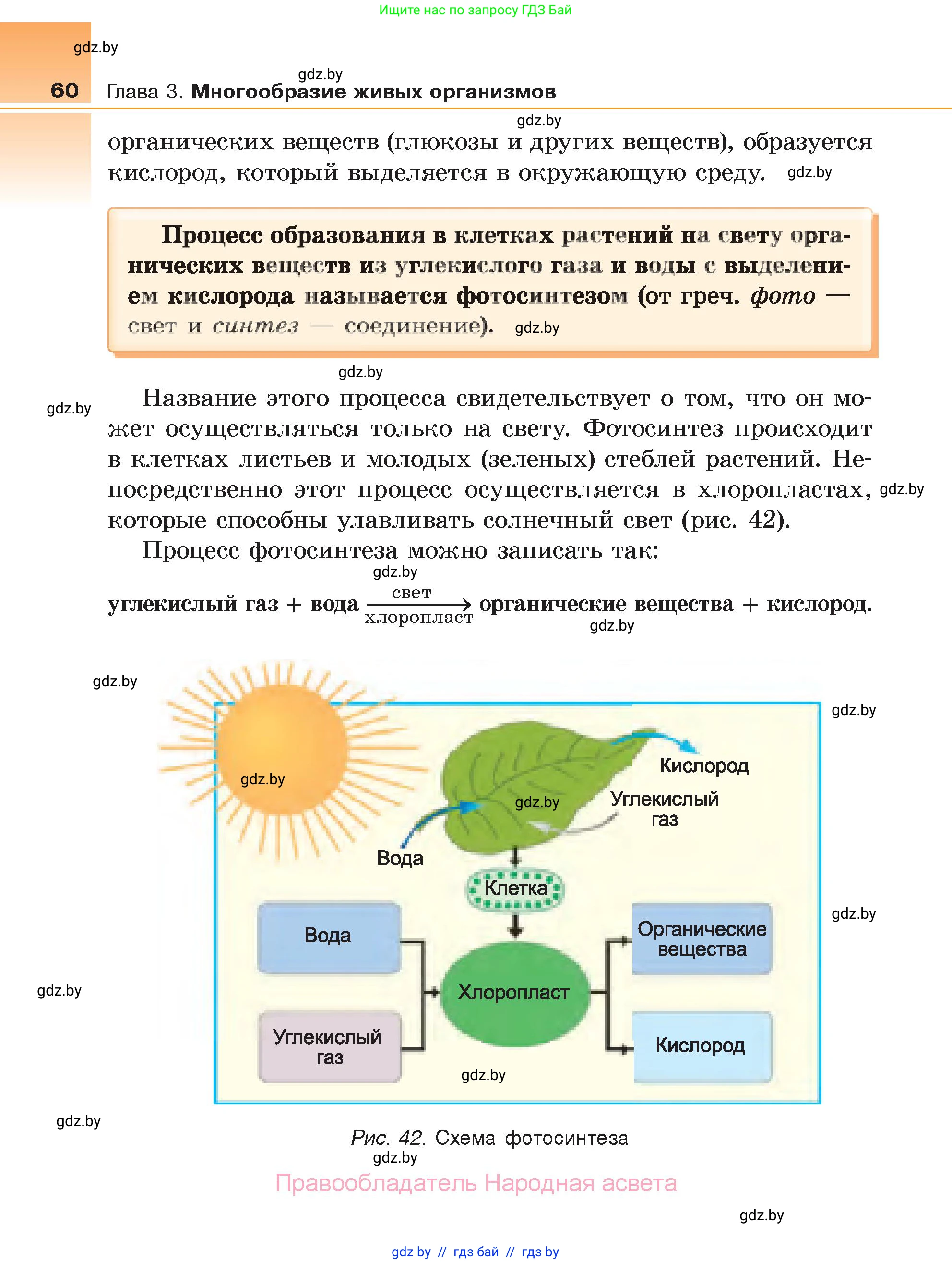 Биология, 6 класс Учебник, автор: Лисов Николай Дмитриевич, издательство Народная асвета, Минск, 2021, зелёного цвета, страница 60