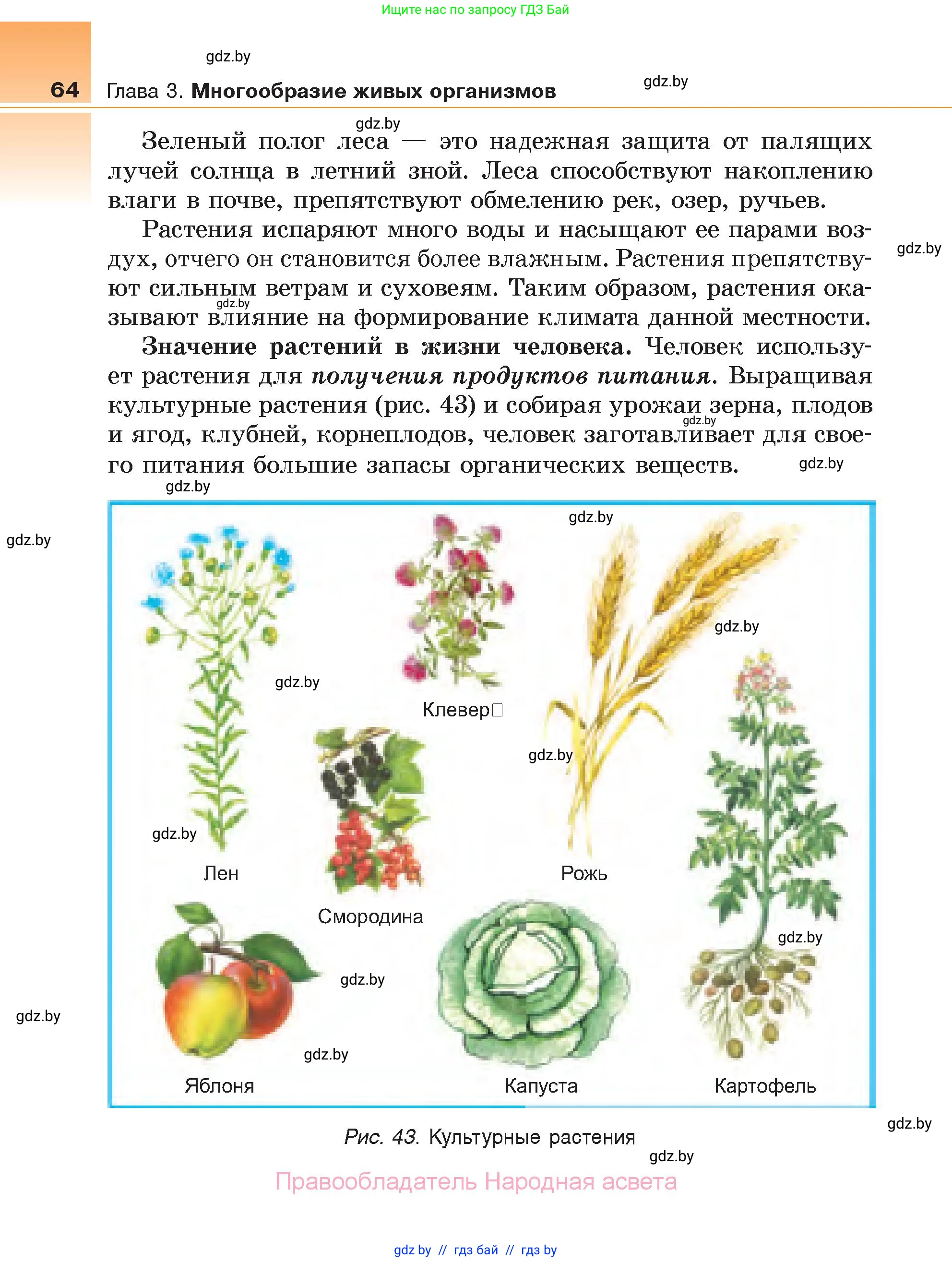 Биология, 6 класс Учебник, автор: Лисов Николай Дмитриевич, издательство Народная асвета, Минск, 2021, зелёного цвета, страница 64
