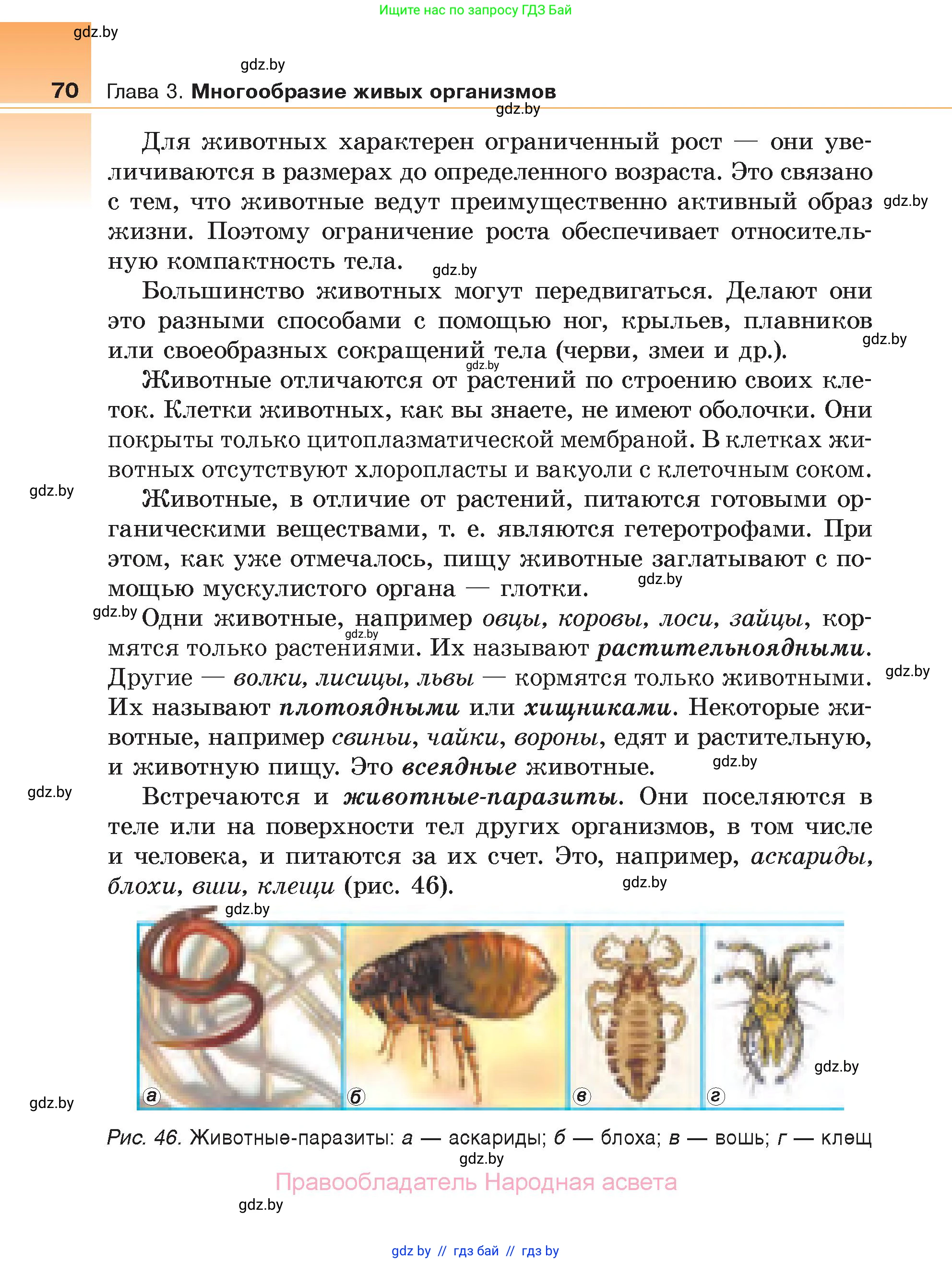 Биология, 6 класс Учебник, автор: Лисов Николай Дмитриевич, издательство Народная асвета, Минск, 2021, зелёного цвета, страница 70
