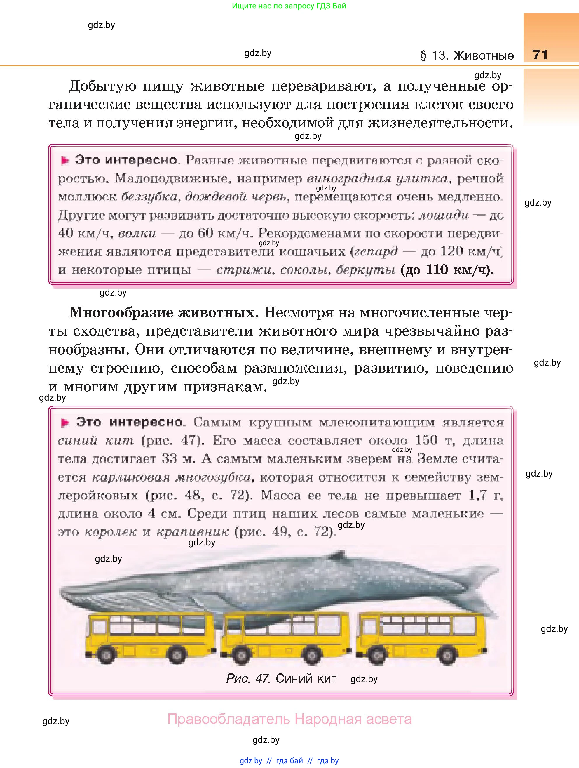 Биология, 6 класс Учебник, автор: Лисов Николай Дмитриевич, издательство Народная асвета, Минск, 2021, зелёного цвета, страница 71