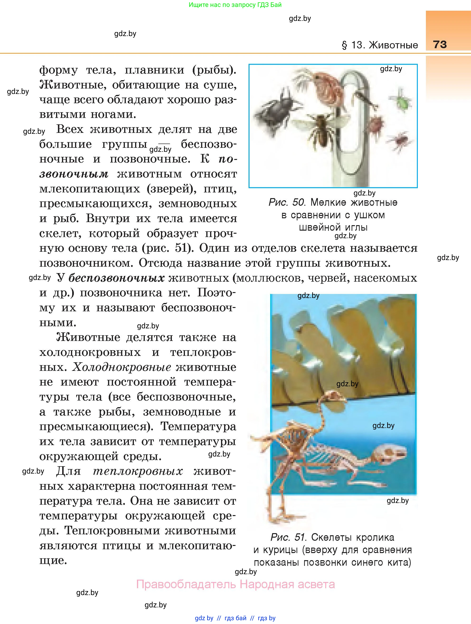 Биология, 6 класс Учебник, автор: Лисов Николай Дмитриевич, издательство Народная асвета, Минск, 2021, зелёного цвета, страница 73