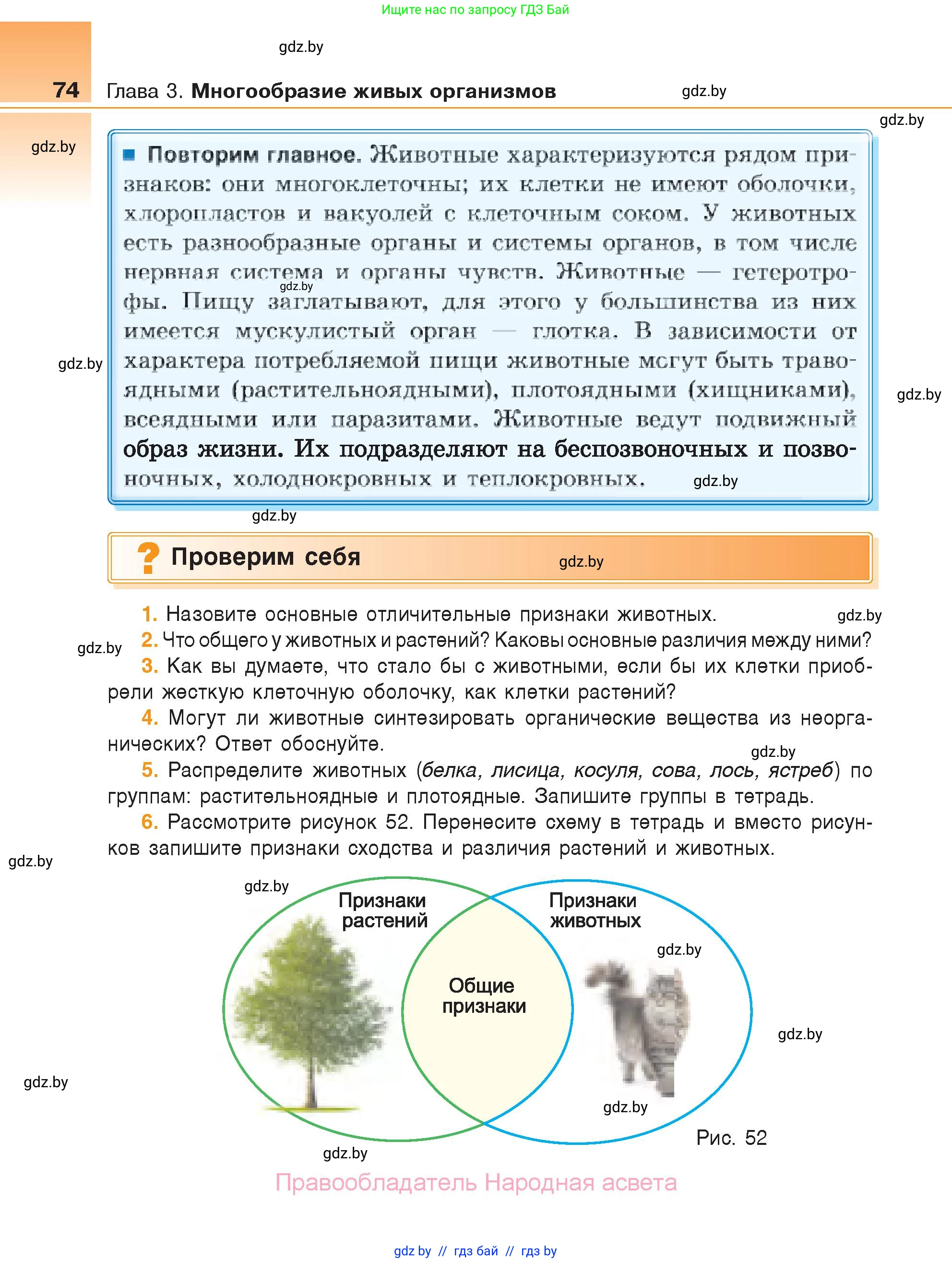 Биология, 6 класс Учебник, автор: Лисов Николай Дмитриевич, издательство Народная асвета, Минск, 2021, зелёного цвета, страница 74