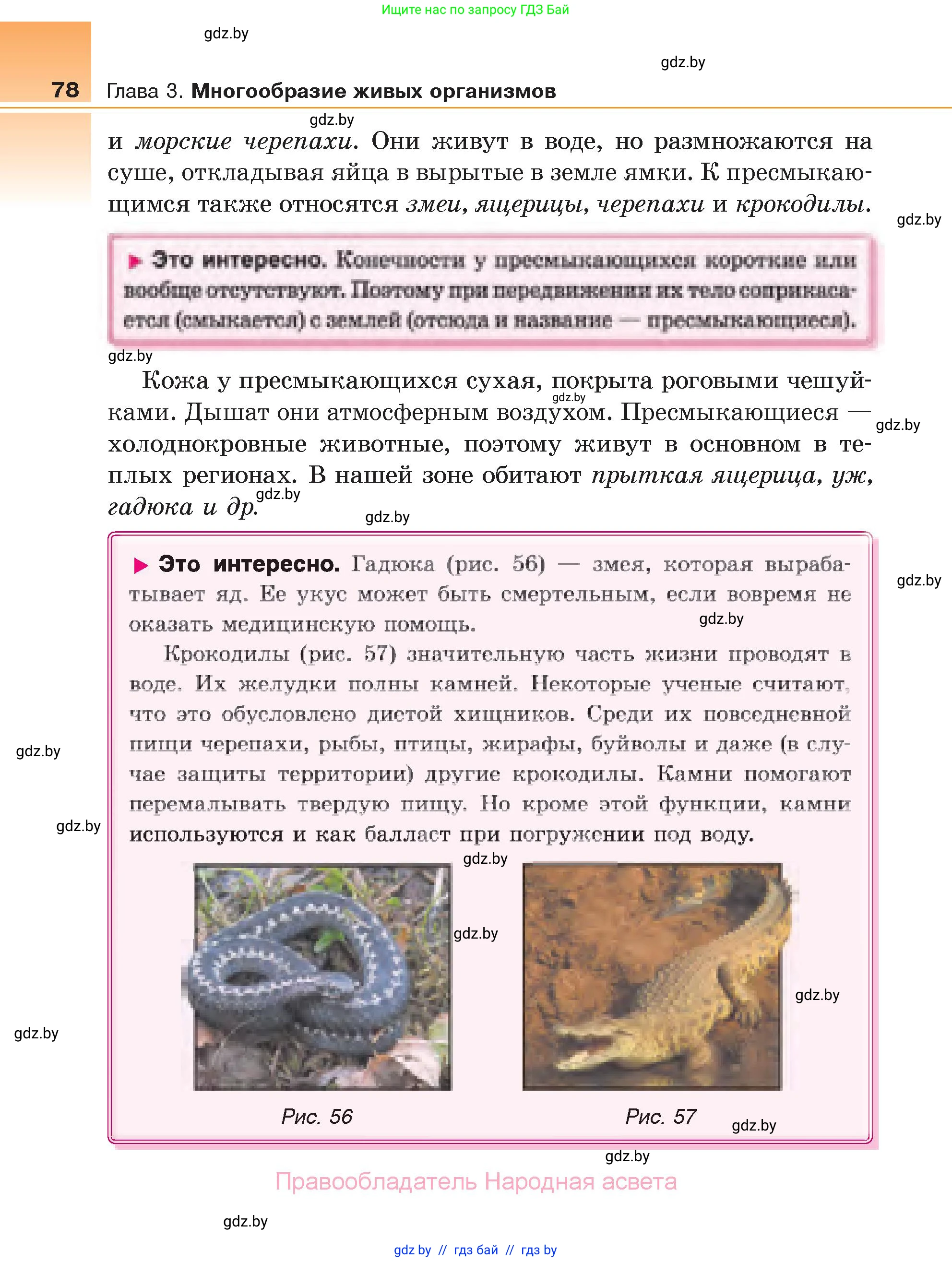 Биология, 6 класс Учебник, автор: Лисов Николай Дмитриевич, издательство Народная асвета, Минск, 2021, зелёного цвета, страница 78
