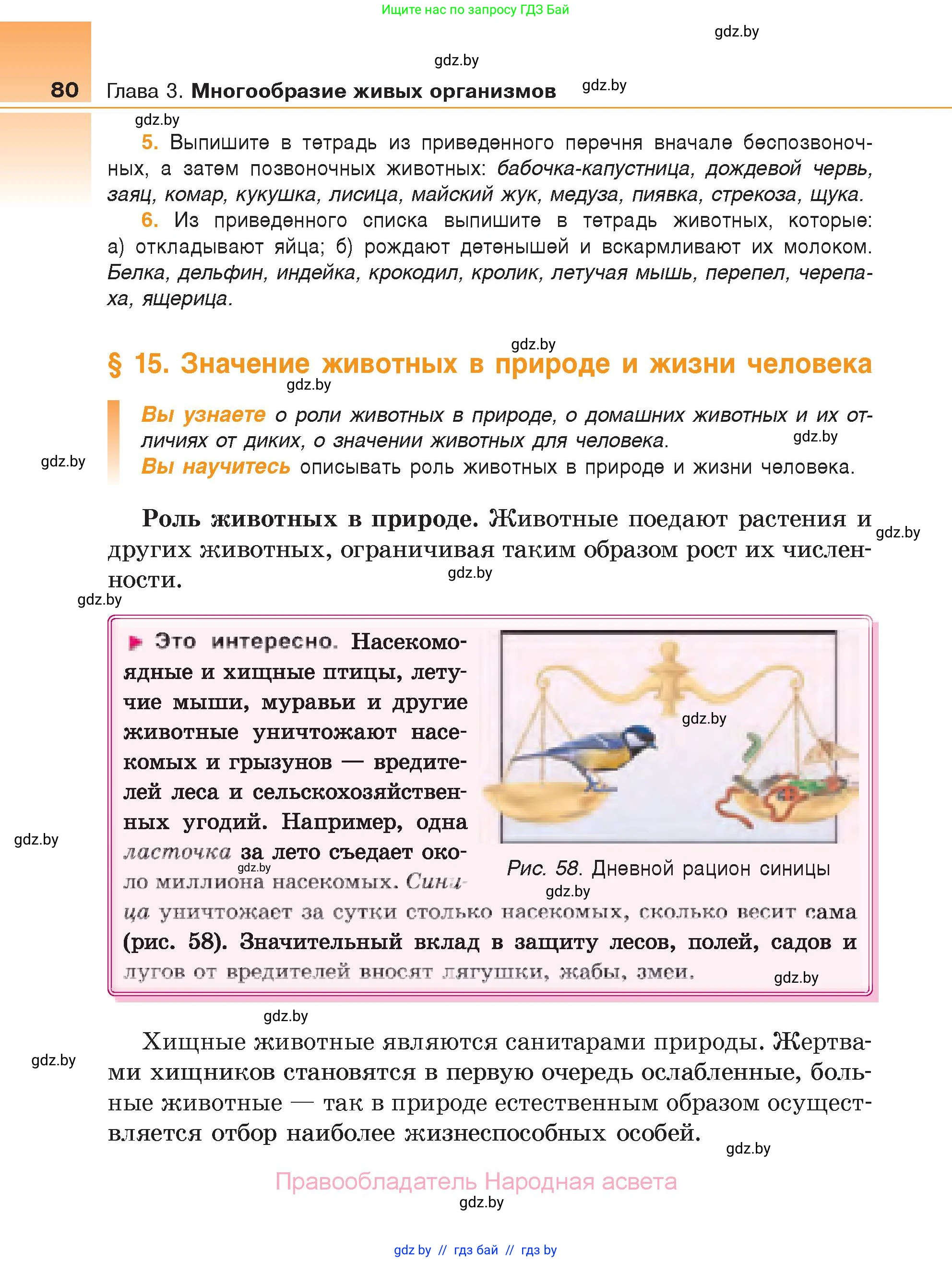 Биология, 6 класс Учебник, автор: Лисов Николай Дмитриевич, издательство Народная асвета, Минск, 2021, зелёного цвета, страница 80