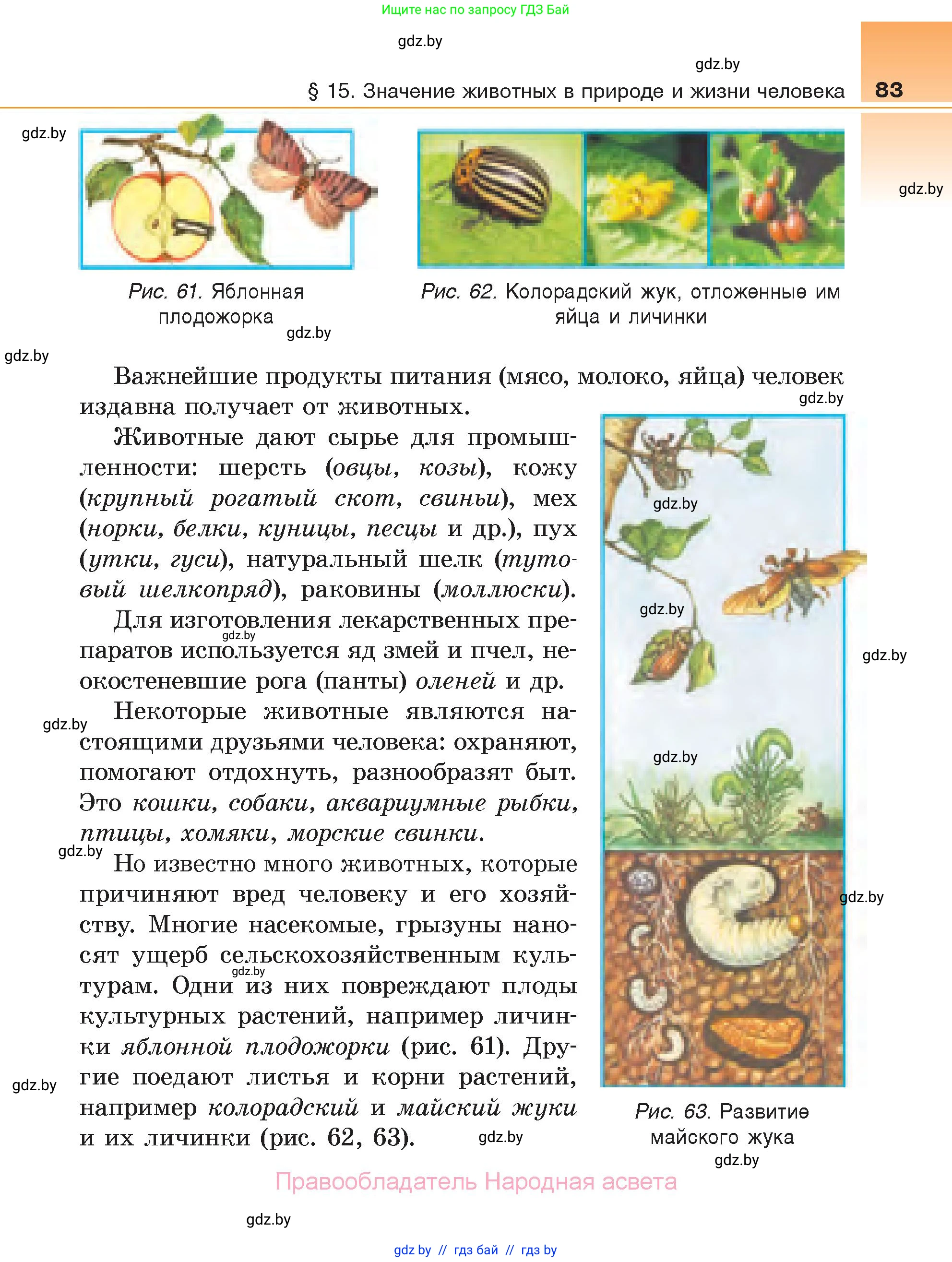 Биология, 6 класс Учебник, автор: Лисов Николай Дмитриевич, издательство Народная асвета, Минск, 2021, зелёного цвета, страница 83