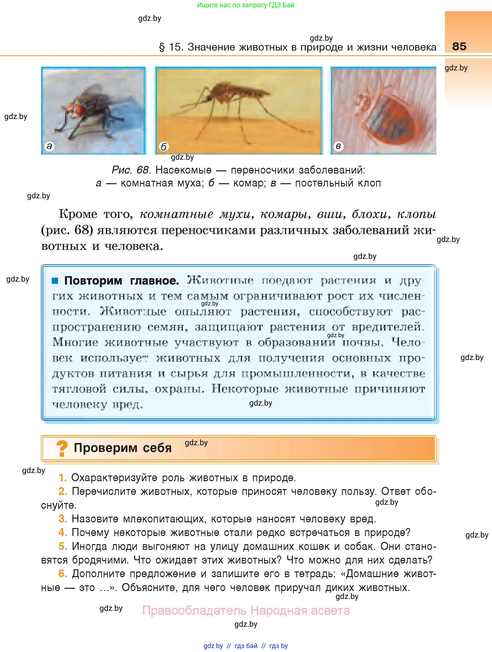 Биология, 6 класс Учебник, автор: Лисов Николай Дмитриевич, издательство Народная асвета, Минск, 2021, зелёного цвета, страница 85