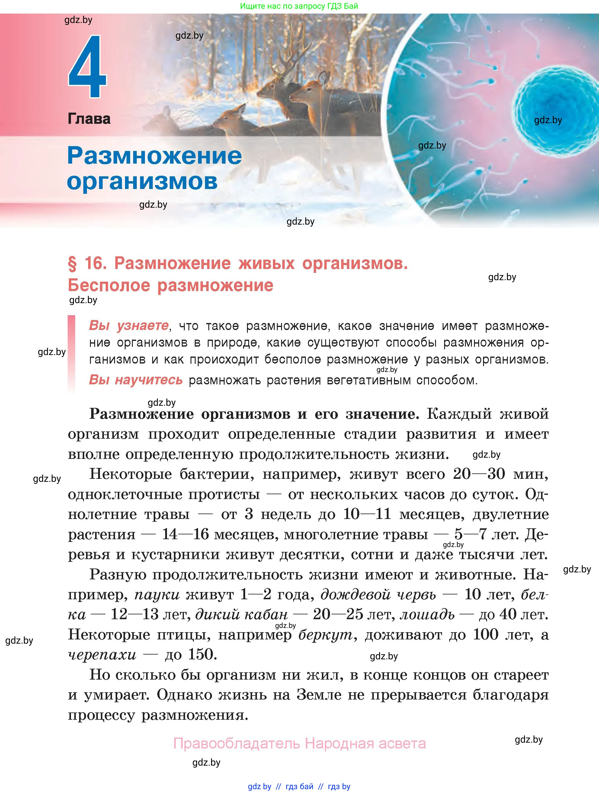 Биология, 6 класс Учебник, автор: Лисов Николай Дмитриевич, издательство Народная асвета, Минск, 2021, зелёного цвета, страница 88