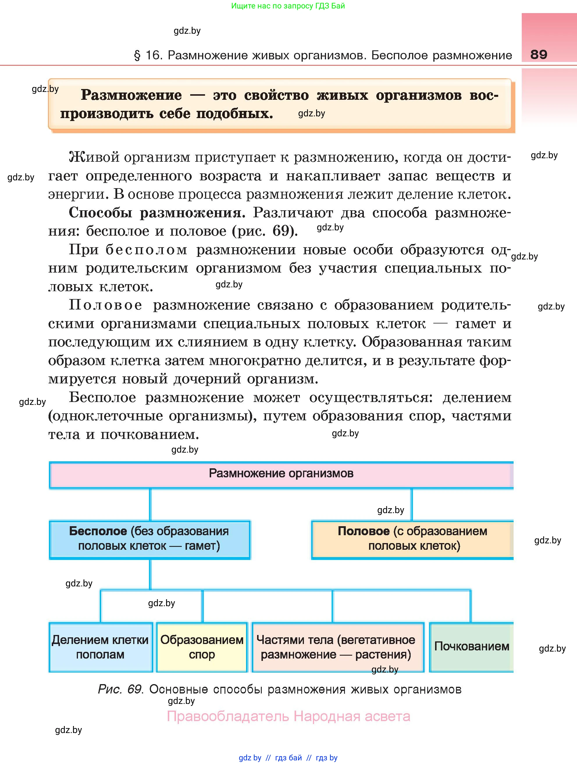 Биология, 6 класс Учебник, автор: Лисов Николай Дмитриевич, издательство Народная асвета, Минск, 2021, зелёного цвета, страница 89