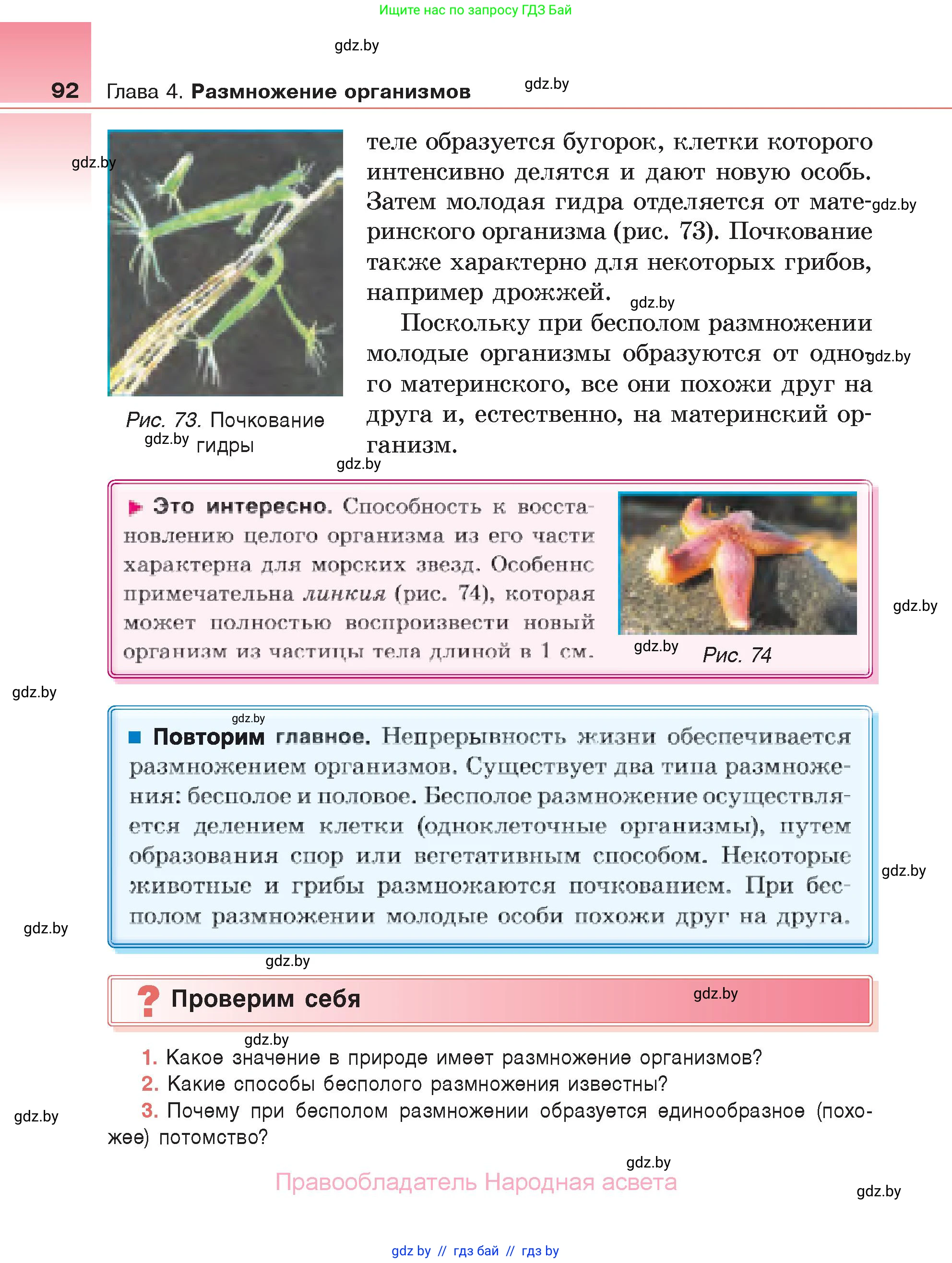 Биология, 6 класс Учебник, автор: Лисов Николай Дмитриевич, издательство Народная асвета, Минск, 2021, зелёного цвета, страница 92
