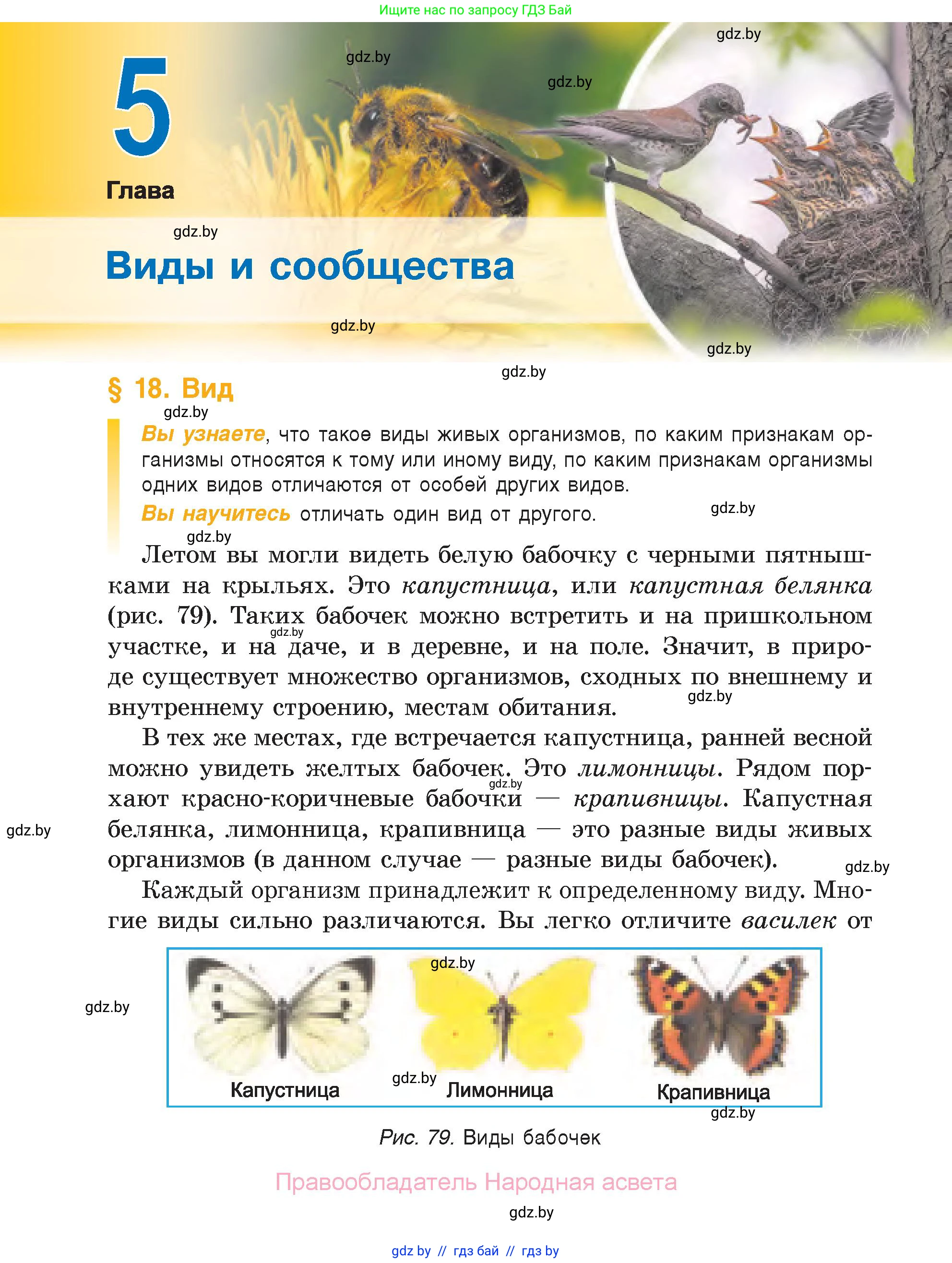 Биология, 6 класс Учебник, автор: Лисов Николай Дмитриевич, издательство Народная асвета, Минск, 2021, зелёного цвета, страница 98