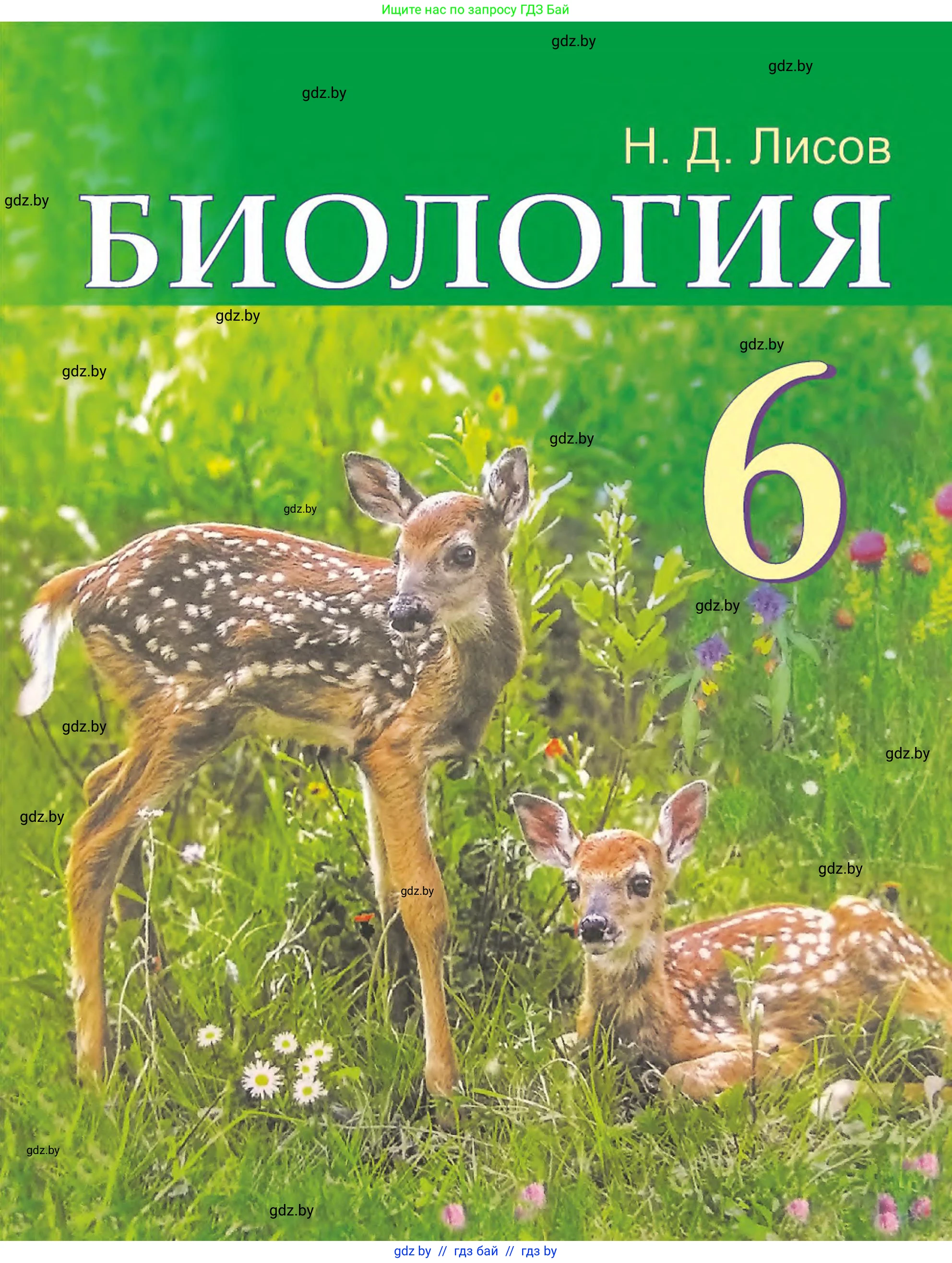 Биология, 6 класс Учебник, автор: Лисов Николай Дмитриевич, издательство Народная асвета, Минск, 2021, зелёного цвета, 