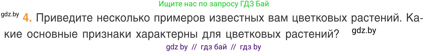 Биология, 6 класс Учебник, автор: Лисов Николай Дмитриевич, издательство Народная асвета, Минск, 2021, зелёного цвета, страница 58, номер 4, Условие