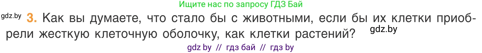 Биология, 6 класс Учебник, автор: Лисов Николай Дмитриевич, издательство Народная асвета, Минск, 2021, зелёного цвета, страница 74, номер 3, Условие