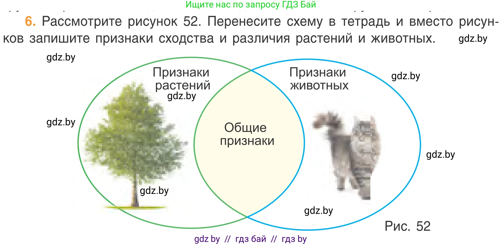 Биология, 6 класс Учебник, автор: Лисов Николай Дмитриевич, издательство Народная асвета, Минск, 2021, зелёного цвета, страница 74, номер 6, Условие