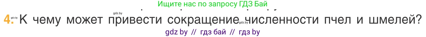 Биология, 6 класс Учебник, автор: Лисов Николай Дмитриевич, издательство Народная асвета, Минск, 2021, зелёного цвета, страница 108, номер 4, Условие