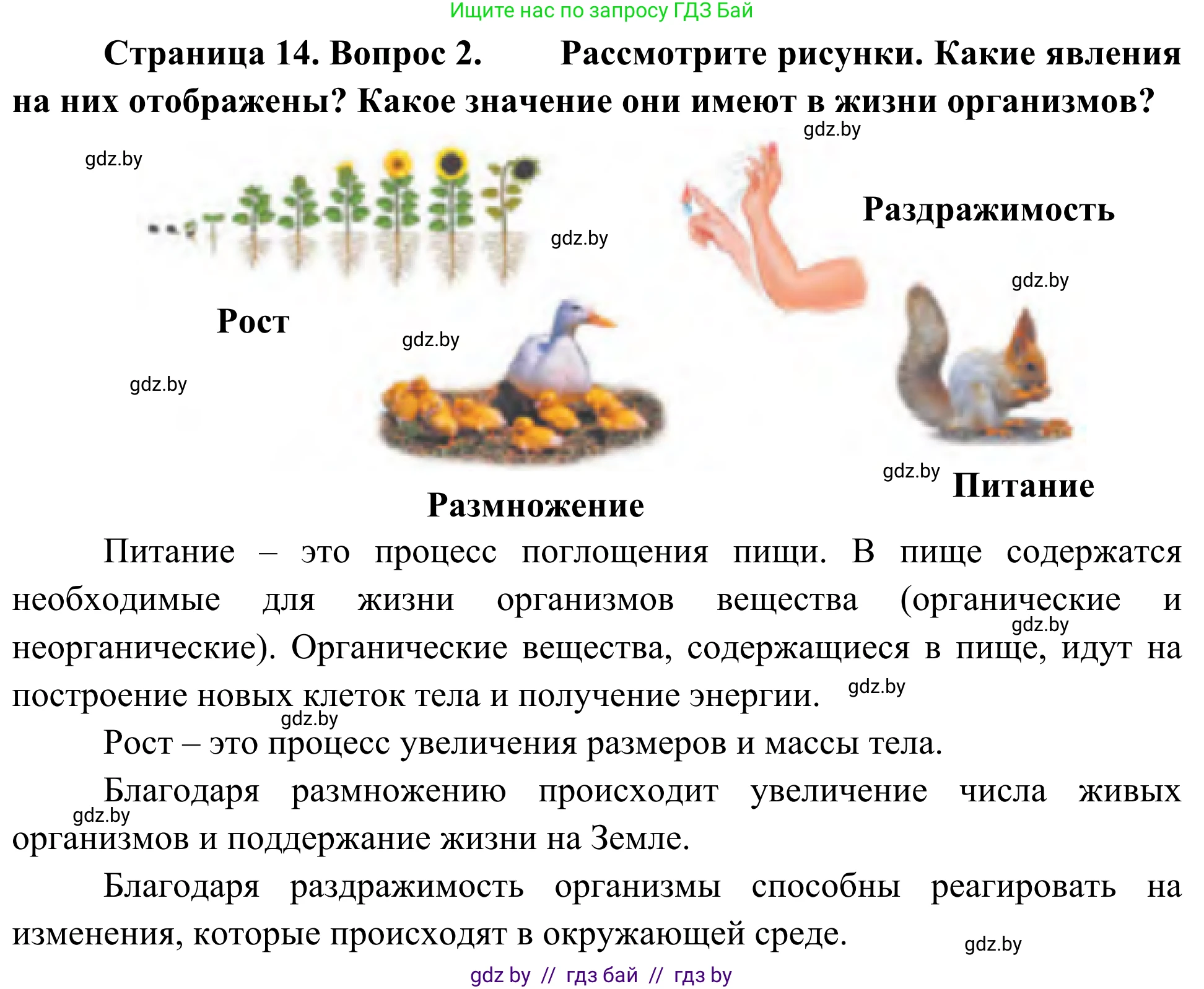 Биология, 6 класс Учебник, автор: Лисов Николай Дмитриевич, издательство Народная асвета, Минск, 2021, зелёного цвета, страница 14, номер 2, Решение