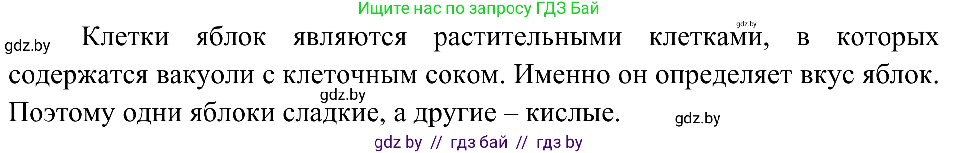 Биология, 6 класс Учебник, автор: Лисов Николай Дмитриевич, издательство Народная асвета, Минск, 2021, зелёного цвета, страница 29, номер 3, Решение (продолжение 2)