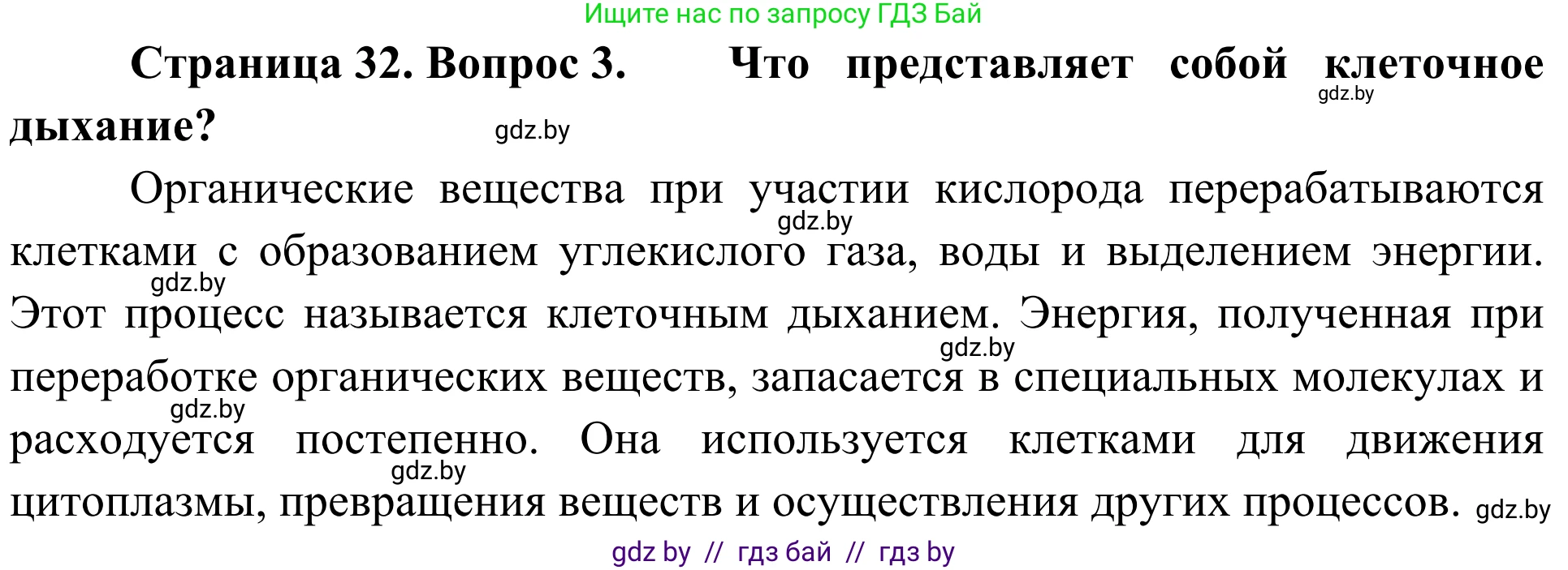 Биология, 6 класс Учебник, автор: Лисов Николай Дмитриевич, издательство Народная асвета, Минск, 2021, зелёного цвета, страница 32, номер 3, Решение