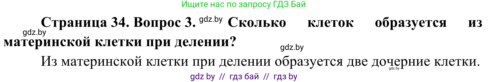 Биология, 6 класс Учебник, автор: Лисов Николай Дмитриевич, издательство Народная асвета, Минск, 2021, зелёного цвета, страница 34, номер 3, Решение