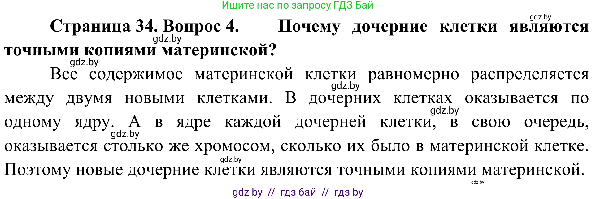 Биология, 6 класс Учебник, автор: Лисов Николай Дмитриевич, издательство Народная асвета, Минск, 2021, зелёного цвета, страница 34, номер 4, Решение
